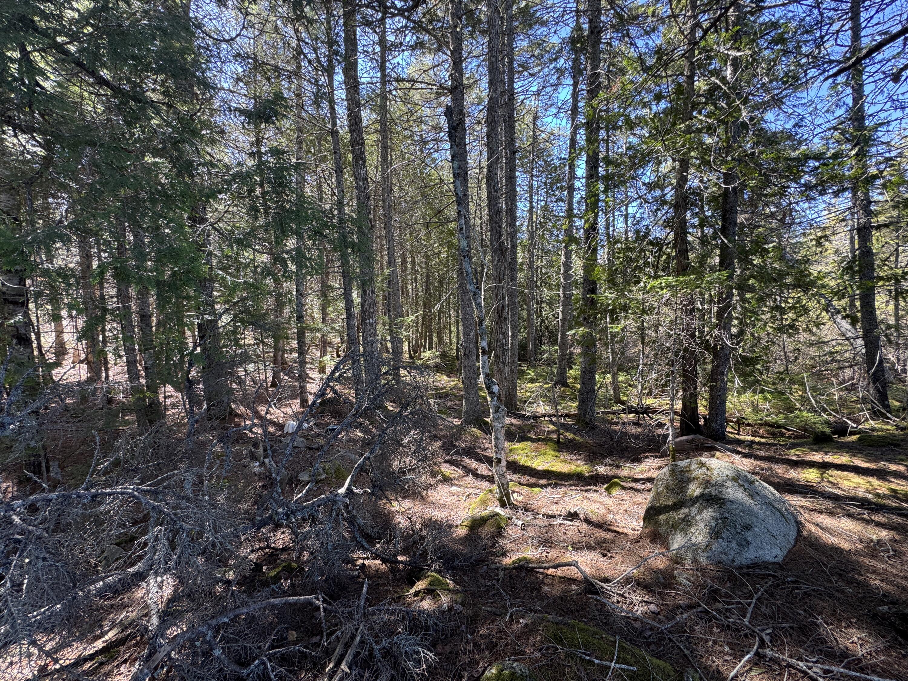 Lot 117 North Long Lake Road Wesley, ME 04686 - Photo 11 of 31 IMG_0424