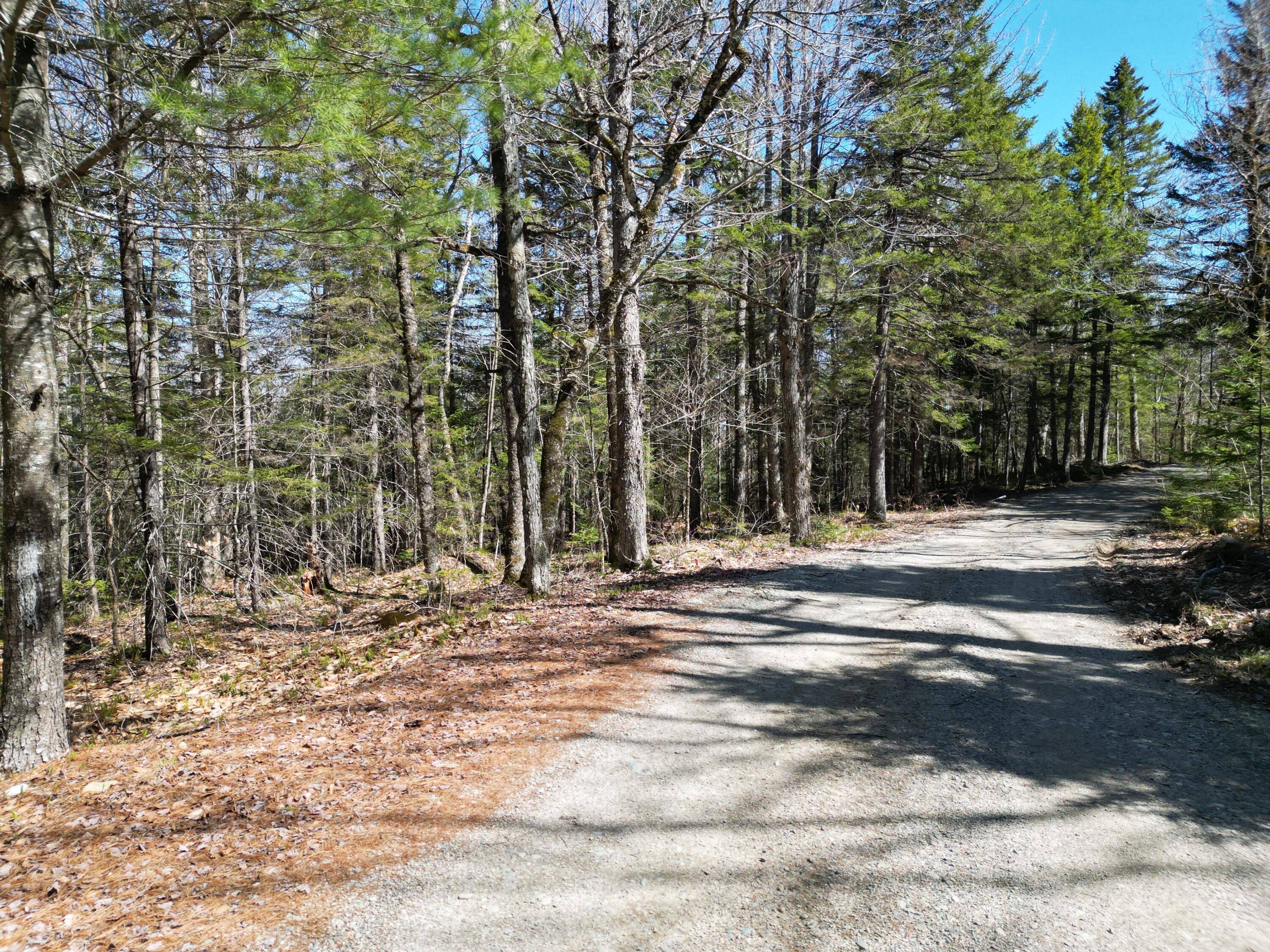 Lot 117 North Long Lake Road Wesley, ME 04686 - Photo 19 of 31 DJI_0169