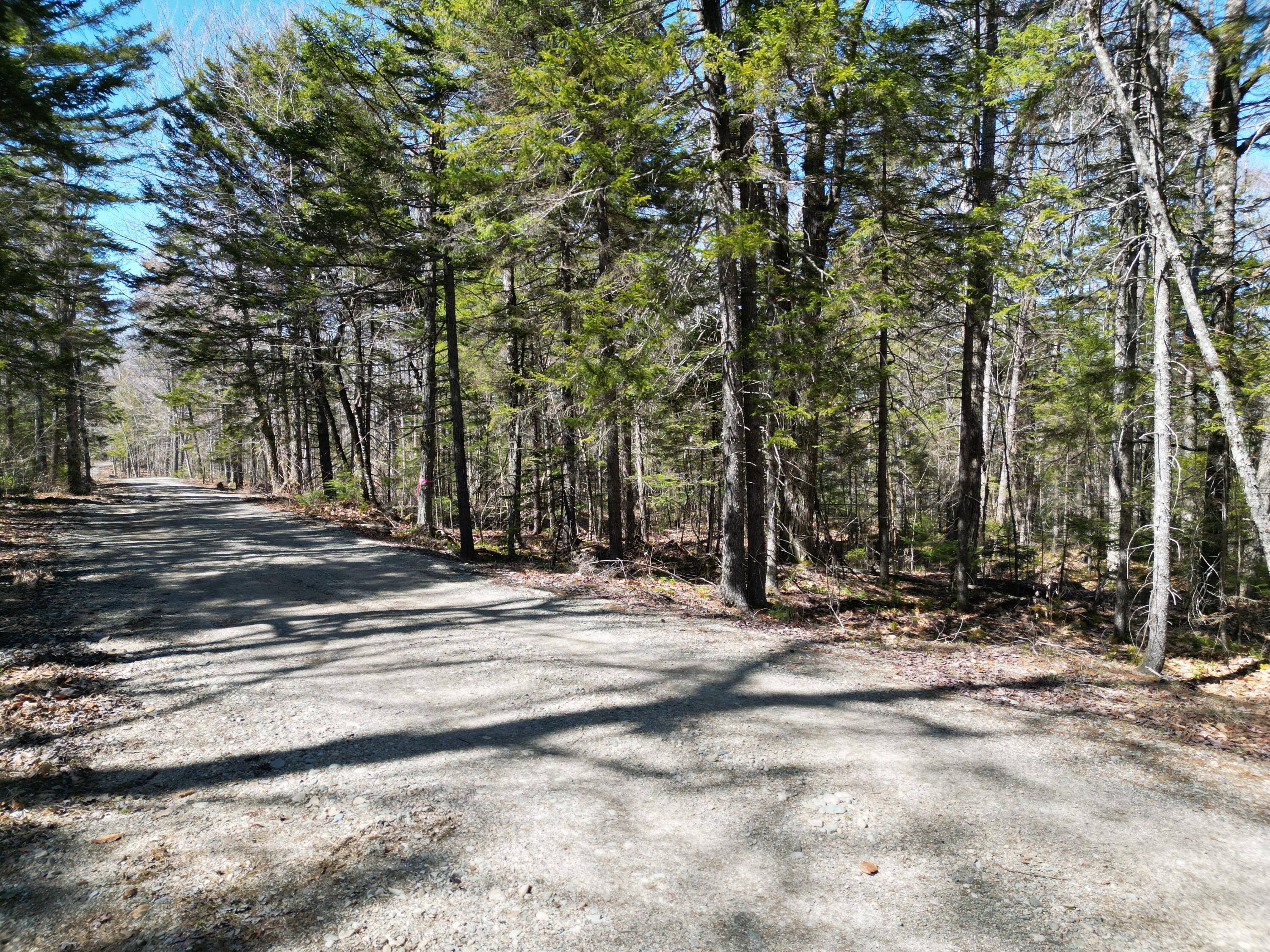 Lot 117 North Long Lake Road Wesley, ME 04686 - Photo 20 of 31 DJI_0170
