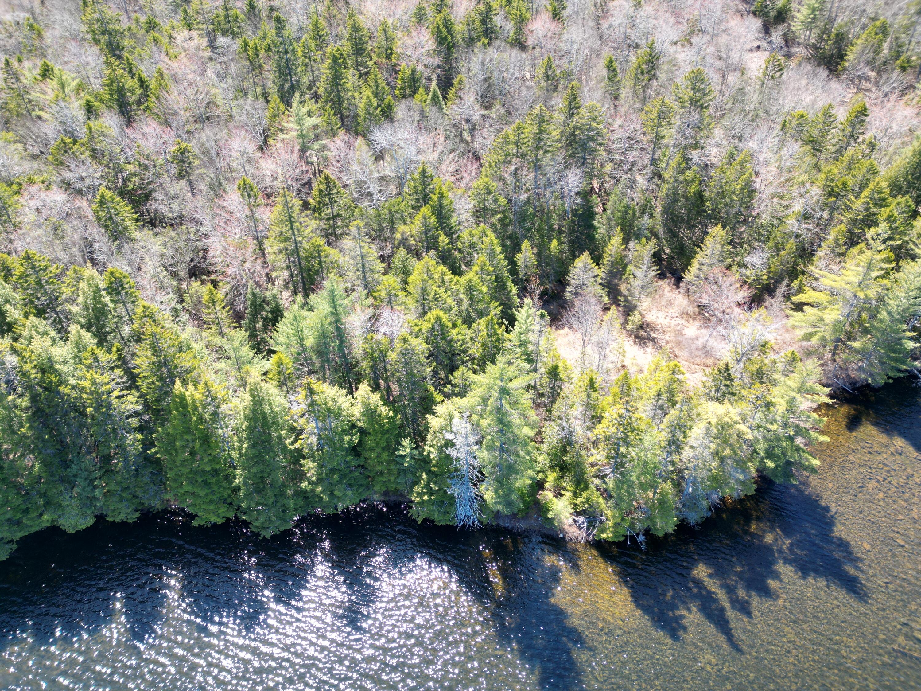 Lot 117 North Long Lake Road Wesley, ME 04686 - Photo 25 of 31 DJI_0175