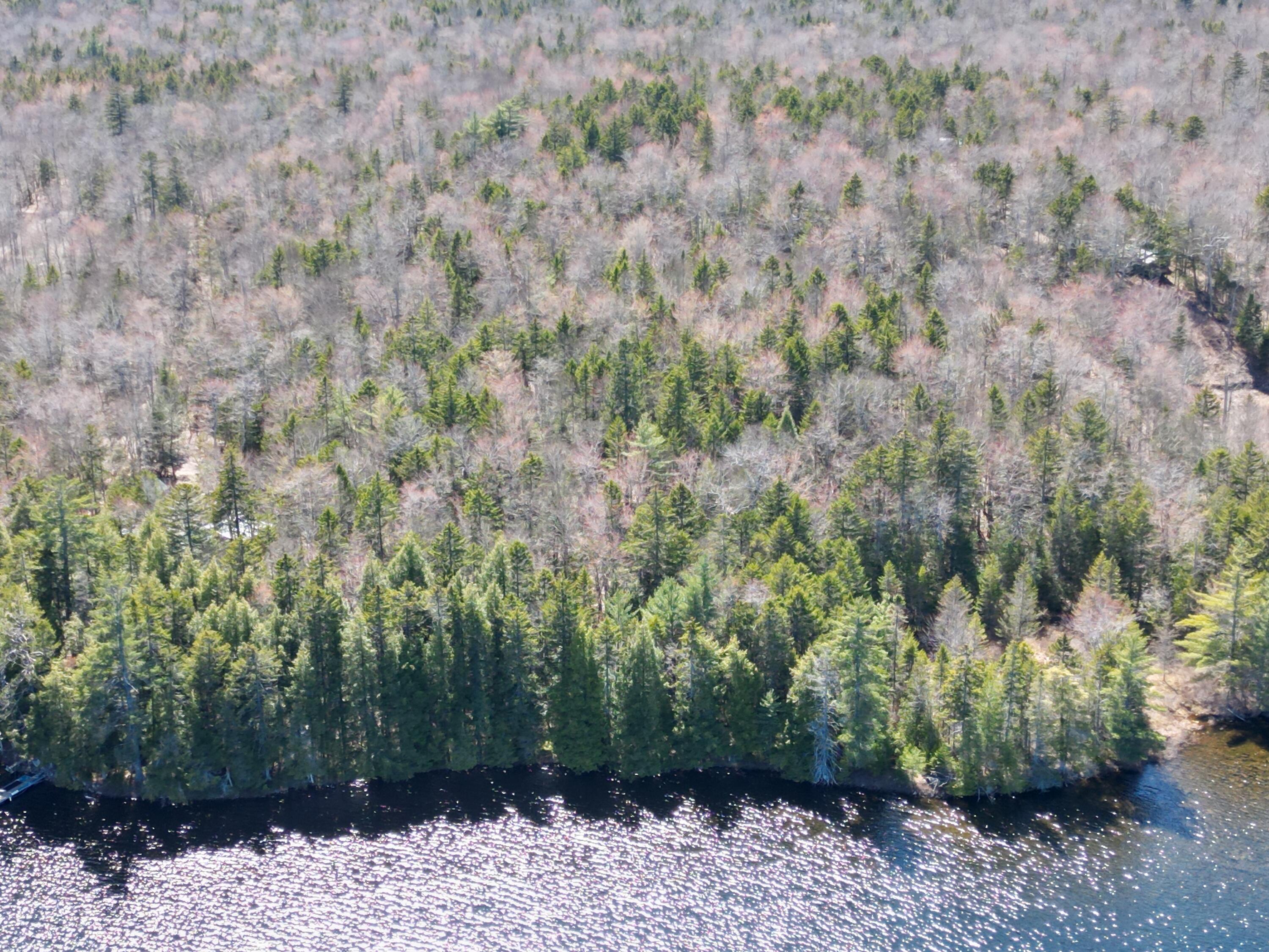 Lot 117 North Long Lake Road Wesley, ME 04686 - Photo 29 of 31 DJI_0181