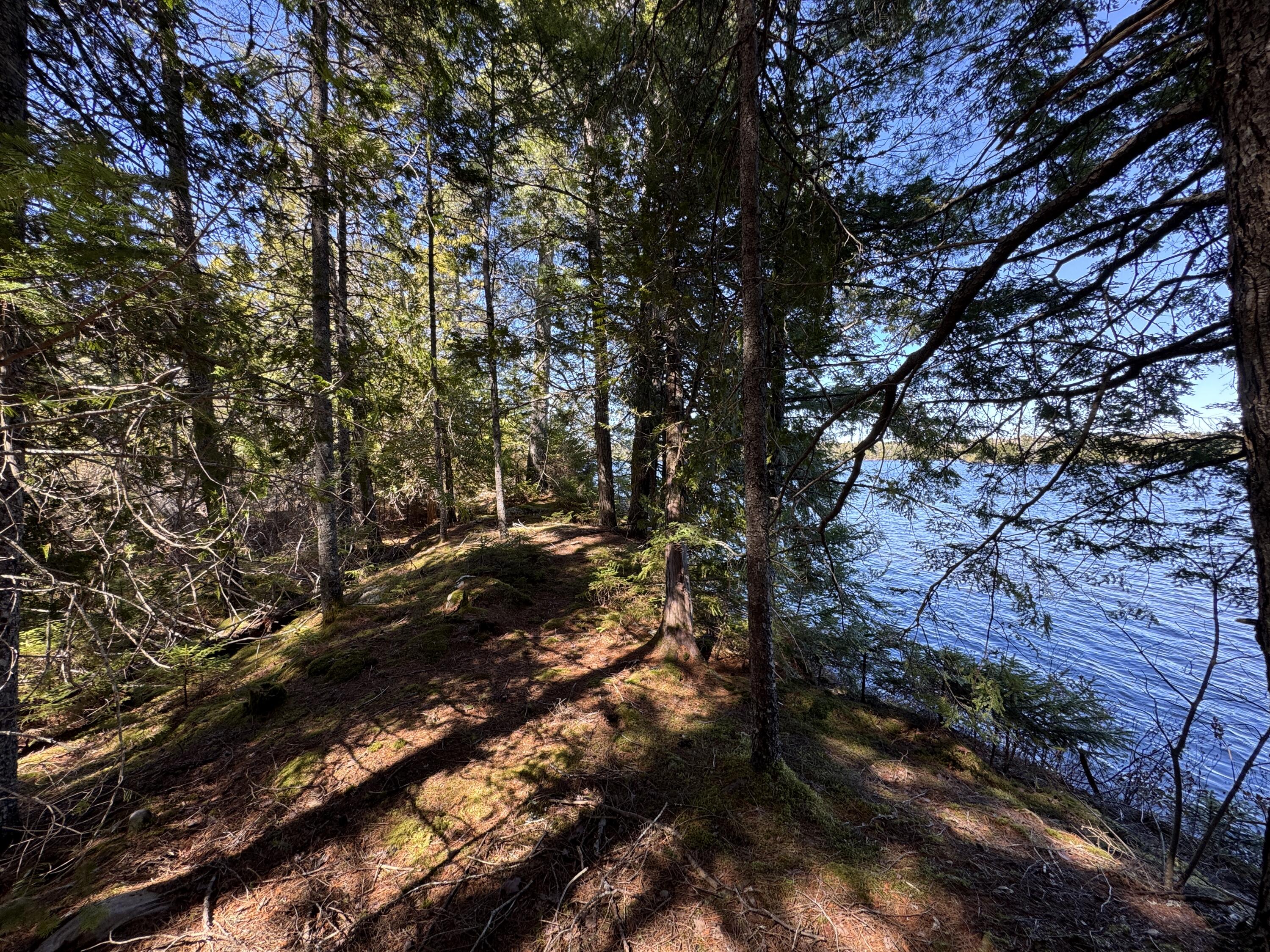 Lot 117 North Long Lake Road Wesley, ME 04686 - Photo 31 of 31 IMG_0425