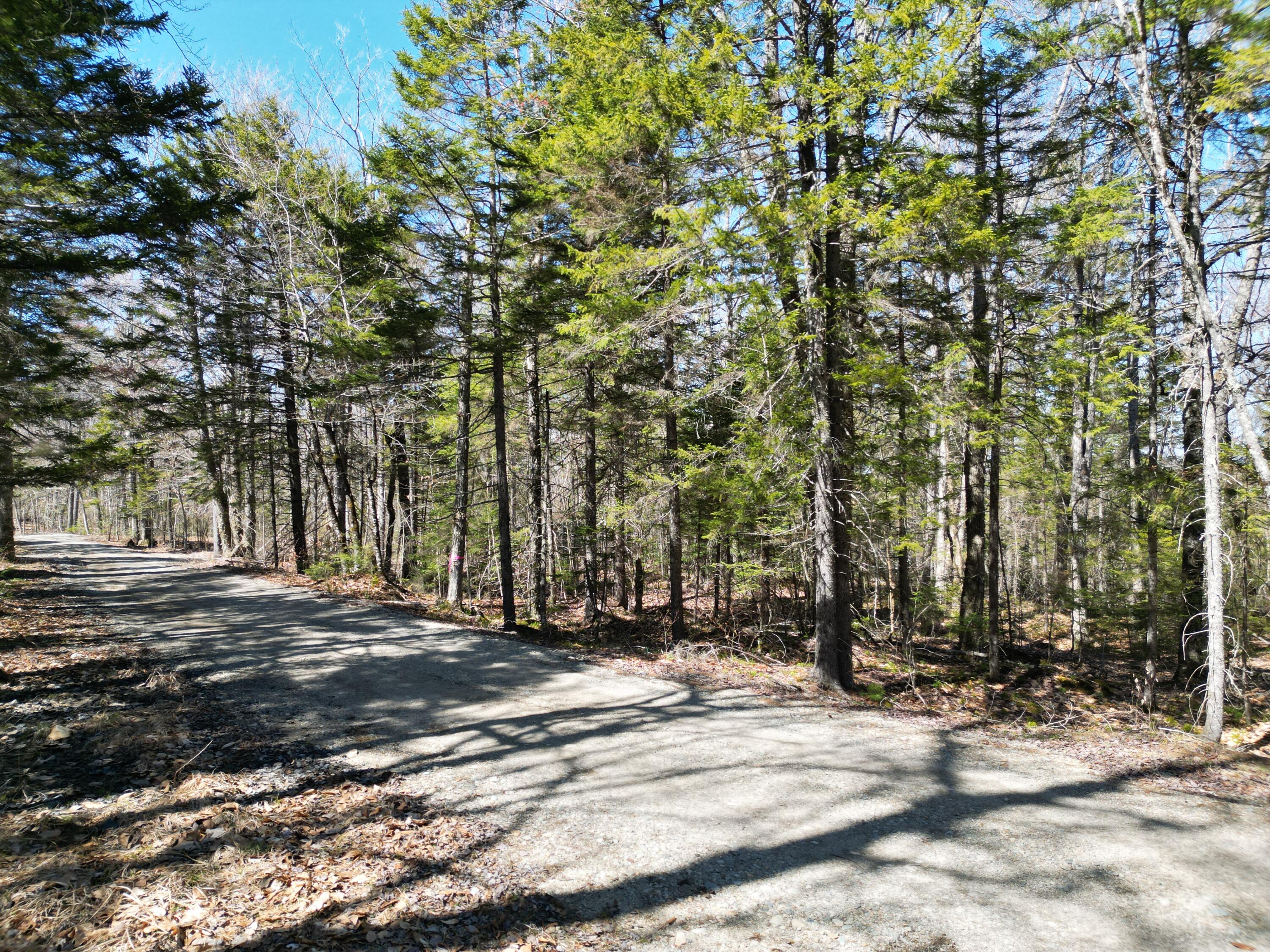 Lot 117 North Long Lake Road Wesley, ME 04686 - Photo 5 of 31 DJI_0162
