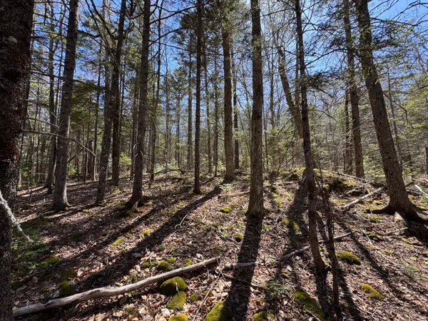 $79,900 | Lot 117 North Long Lake Road, Wesley, ME 04686