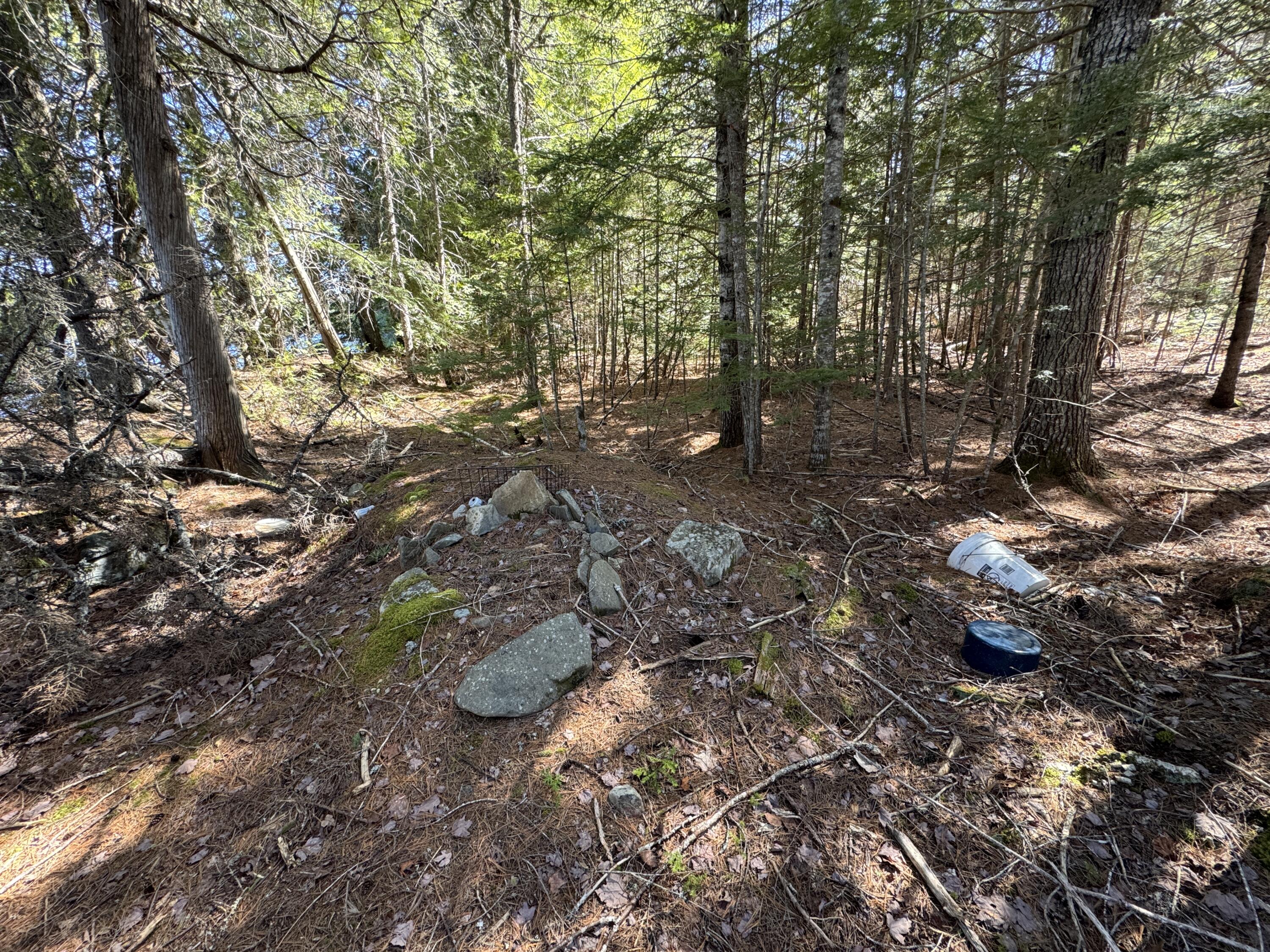 Lot 117 North Long Lake Road Wesley, ME 04686 - Photo 9 of 31 IMG_0419