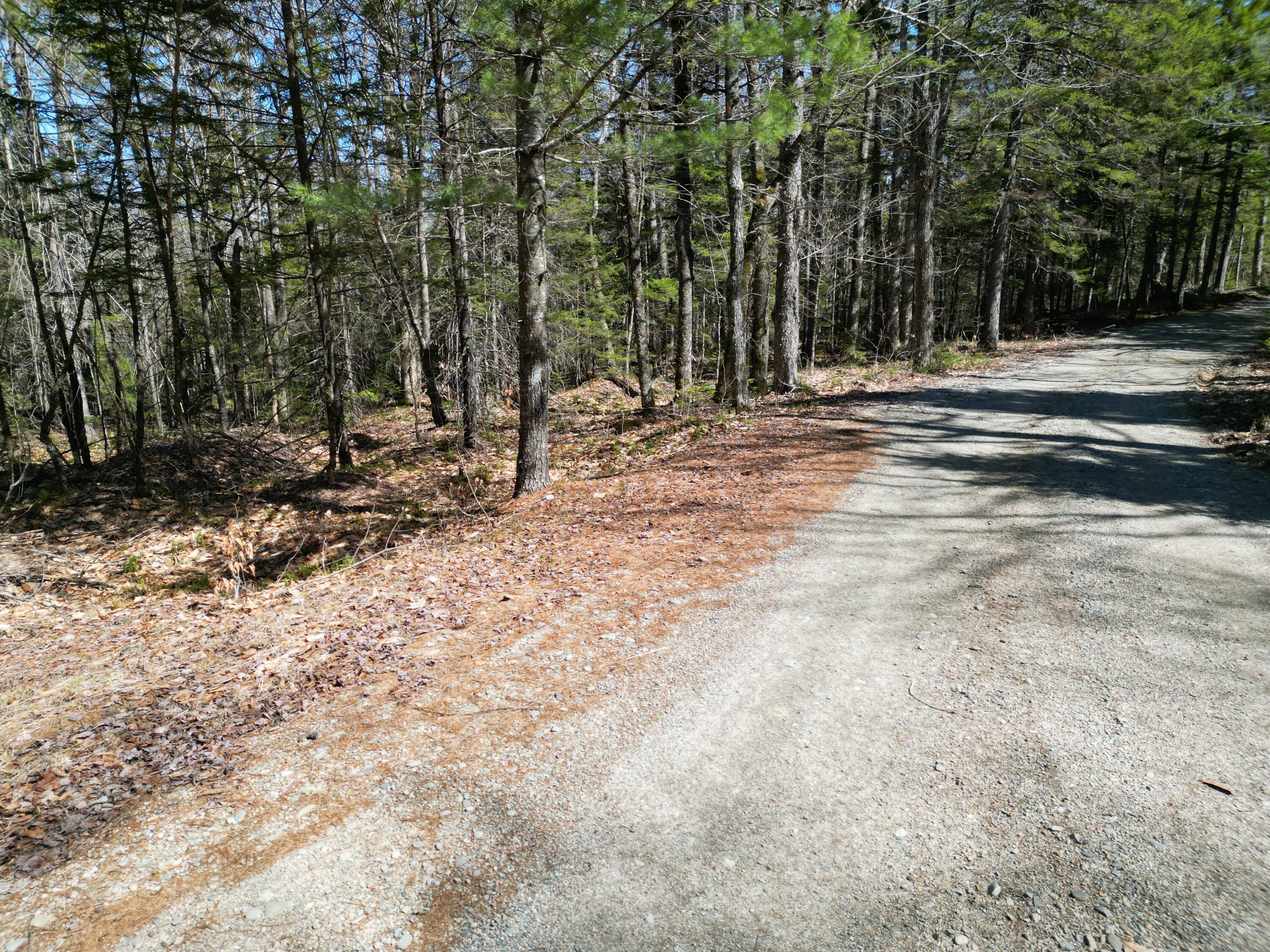 Lot 117 North Long Lake Road Wesley, ME 04686 - Photo 10 of 31 DJI_0164