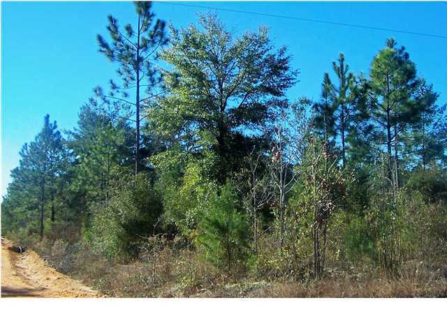 0 Wagon Wheel Road DeFuniak Springs, FL 32435 - Photo 1 of 9 Gallery Image 1