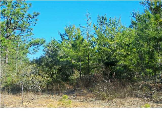 0 Wagon Wheel Road DeFuniak Springs, FL 32435 - Photo 2 of 9 Gallery Image 2