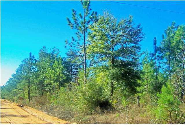 0 Wagon Wheel Road DeFuniak Springs, FL 32435 - Photo 3 of 9 Gallery Image 3