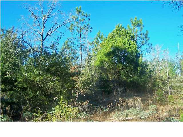 0 Wagon Wheel Road DeFuniak Springs, FL 32435 - Photo 4 of 9 Gallery Image 4