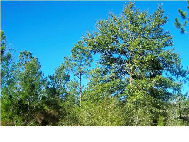 0 Wagon Wheel Road DeFuniak Springs, FL 32435 - Photo 5 of 9 Gallery Image 5