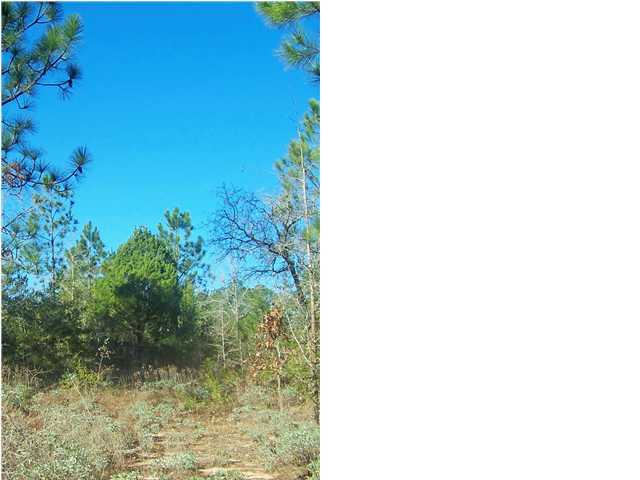 0 Wagon Wheel Road DeFuniak Springs, FL 32435 - Photo 7 of 9 Gallery Image 7