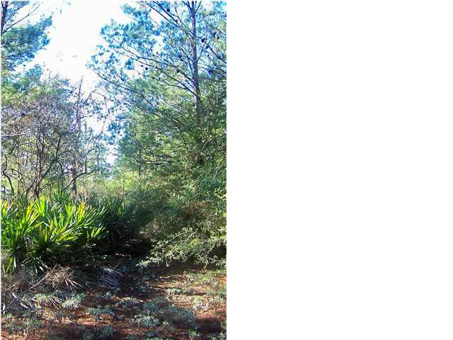 0 Wagon Wheel Road DeFuniak Springs, FL 32435 - Photo 8 of 9 Gallery Image 8