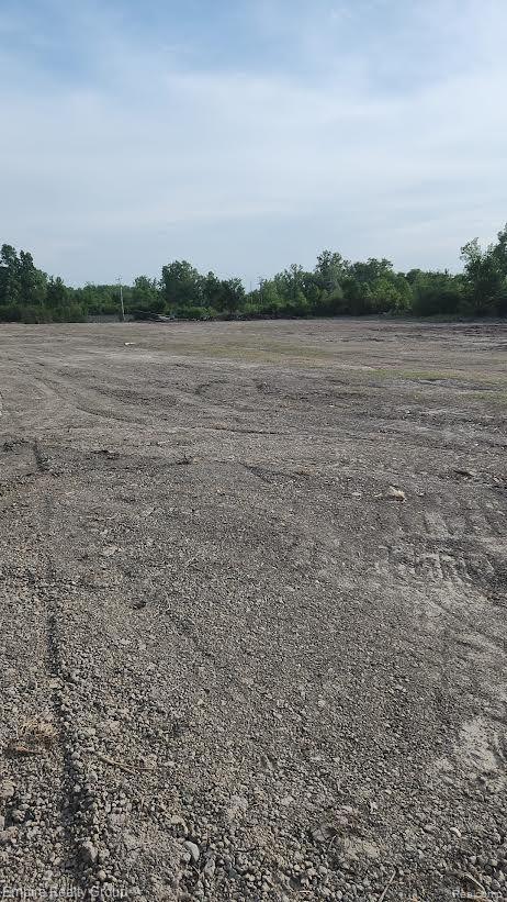 0 Yost Road East Canton, MI 48188 - Photo 3 of 10