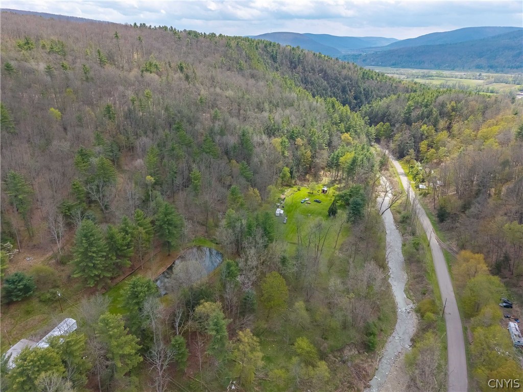 6116 Cunningham Creek Road Canisteo, NY 14823 - Photo 47 of 50