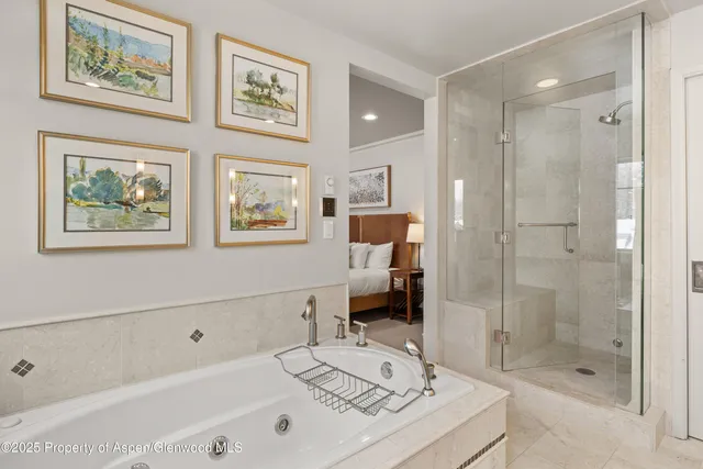 a bathroom with a bathtub and a shower