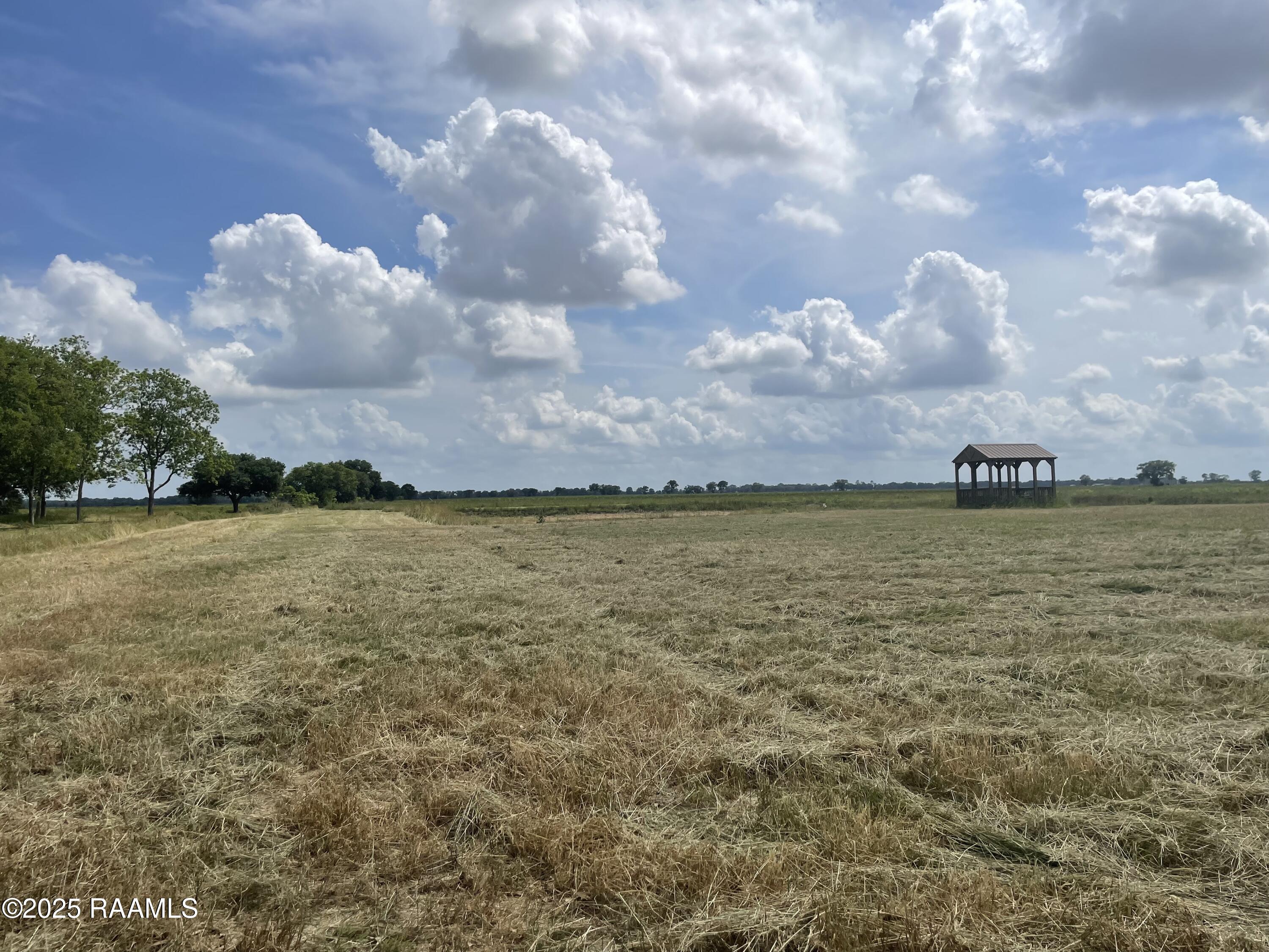 3114 Girouard Road Rayne, LA 70578 - Photo 3 of 6 Left