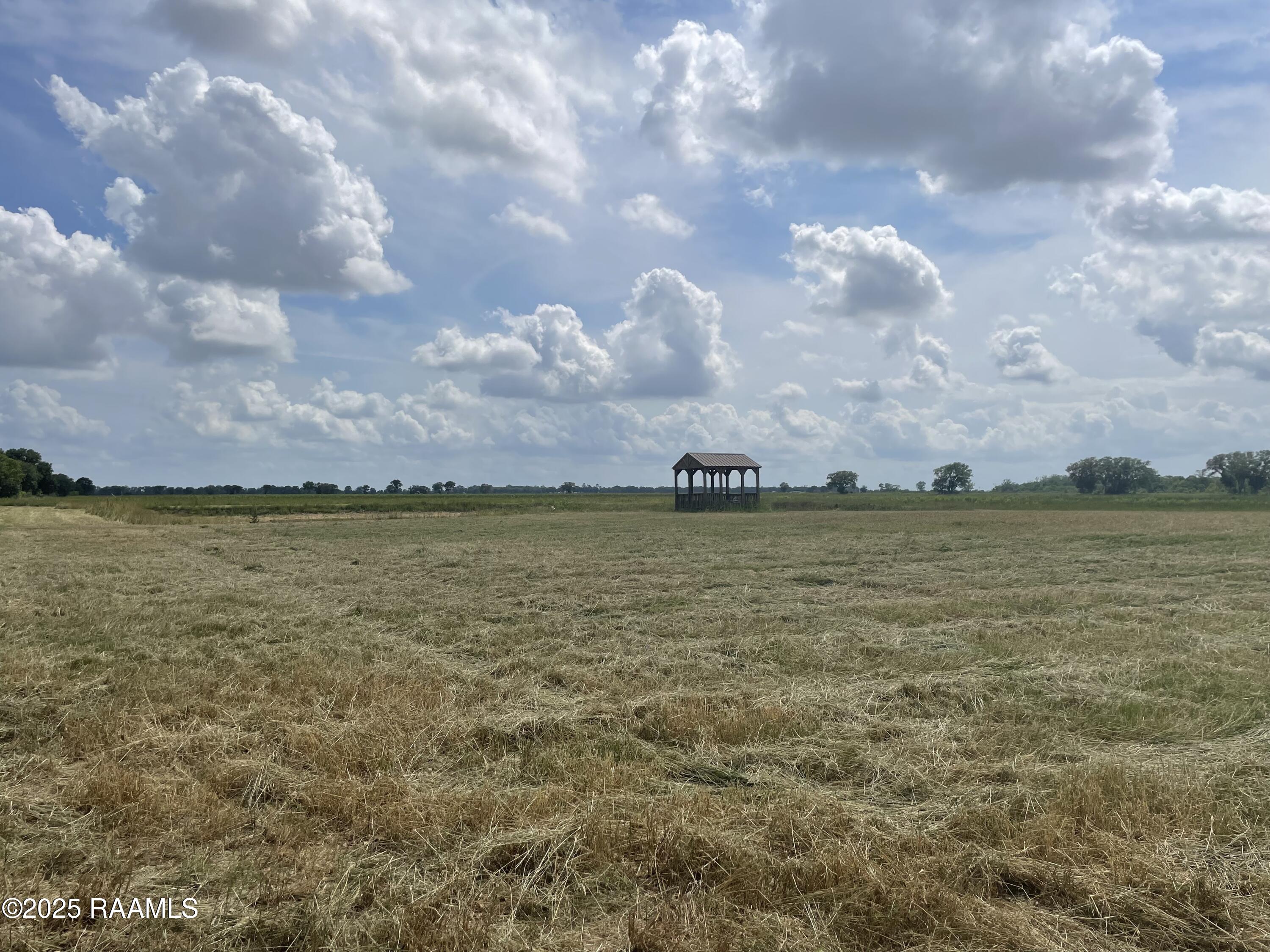 3114 Girouard Road Rayne, LA 70578 - Photo 4 of 6 Center View