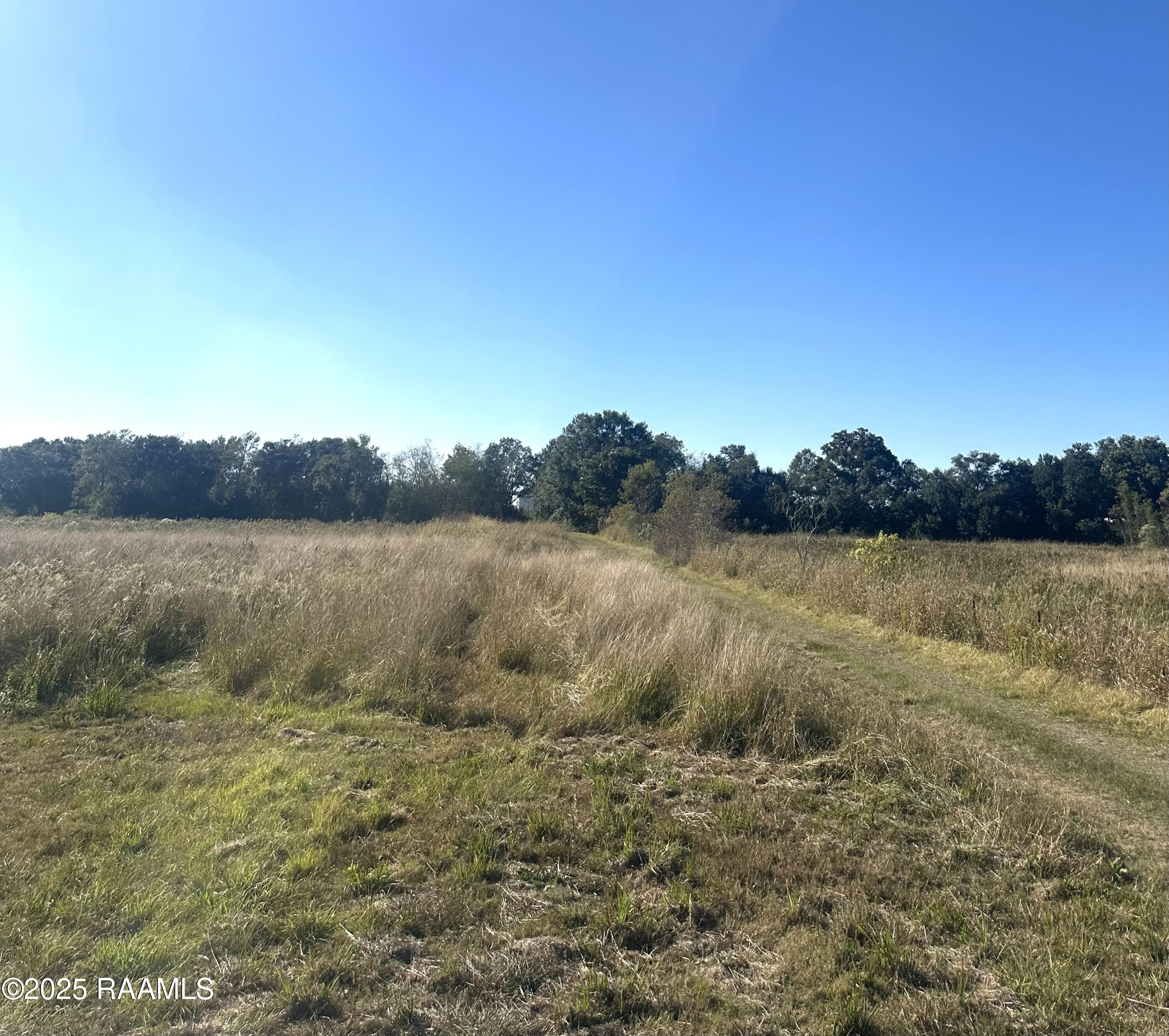 3114 Girouard Road Rayne, LA 70578 - Photo 5 of 6 Right View