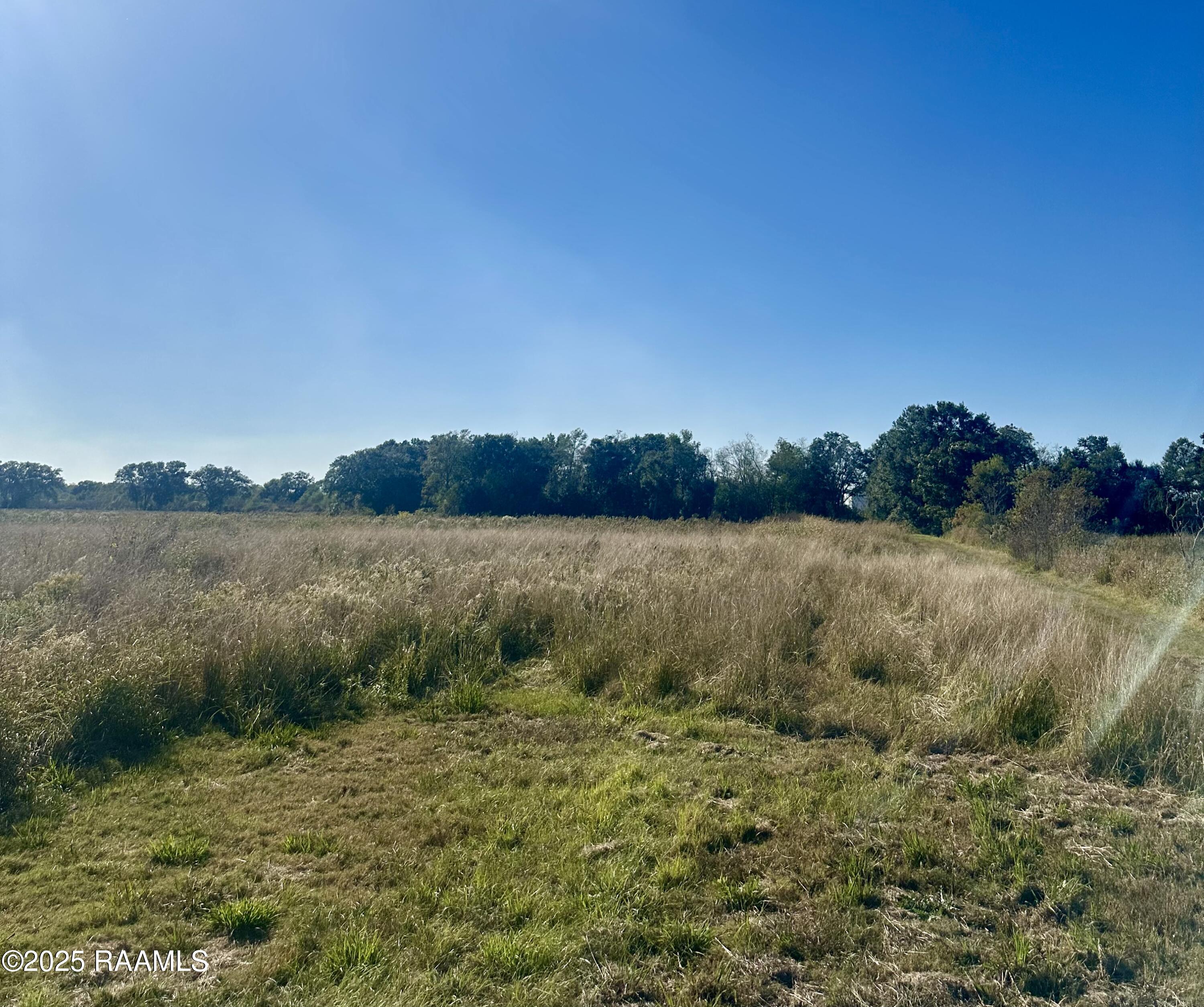 3114 Girouard Road Rayne, LA 70578 - Photo 6 of 6 Center view