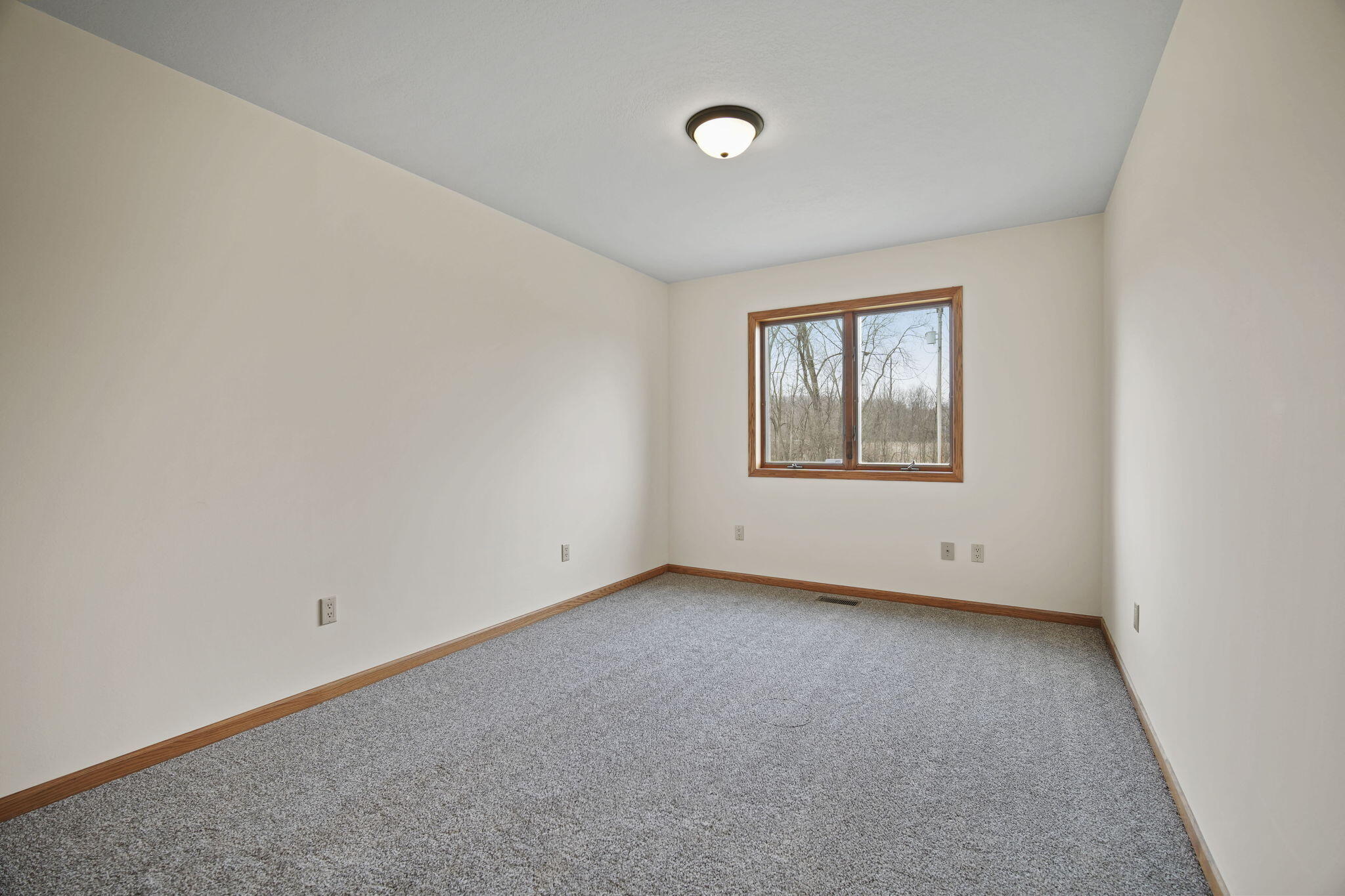 13274 Clinton Road Onondaga, MI 49264 - Photo 27 of 63 27