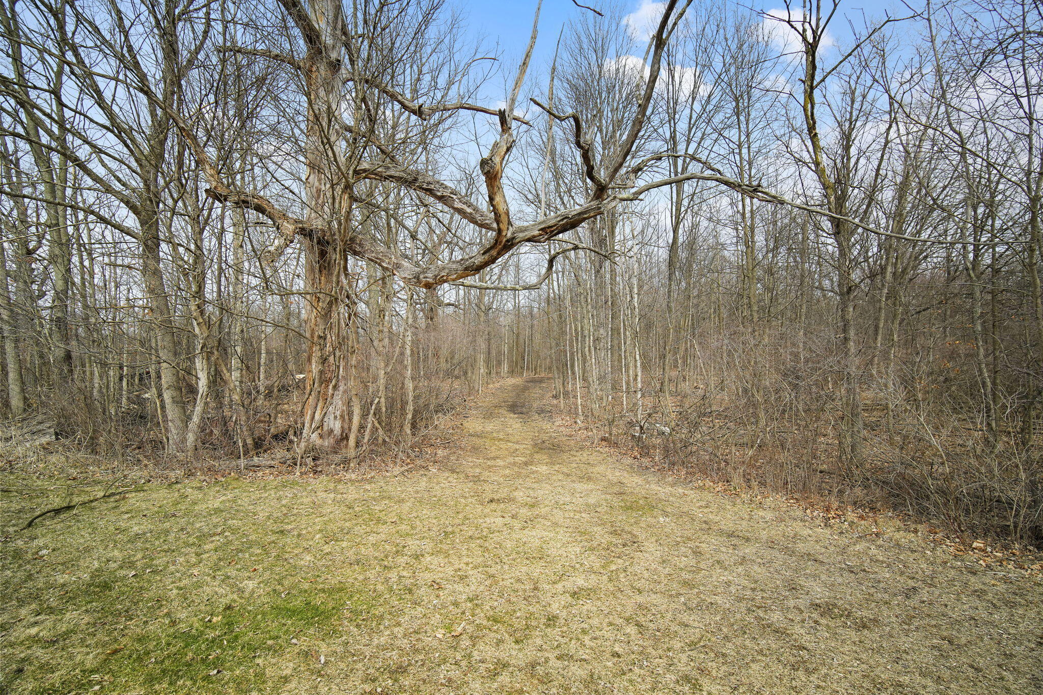 13274 Clinton Road Onondaga, MI 49264 - Photo 46 of 63 46