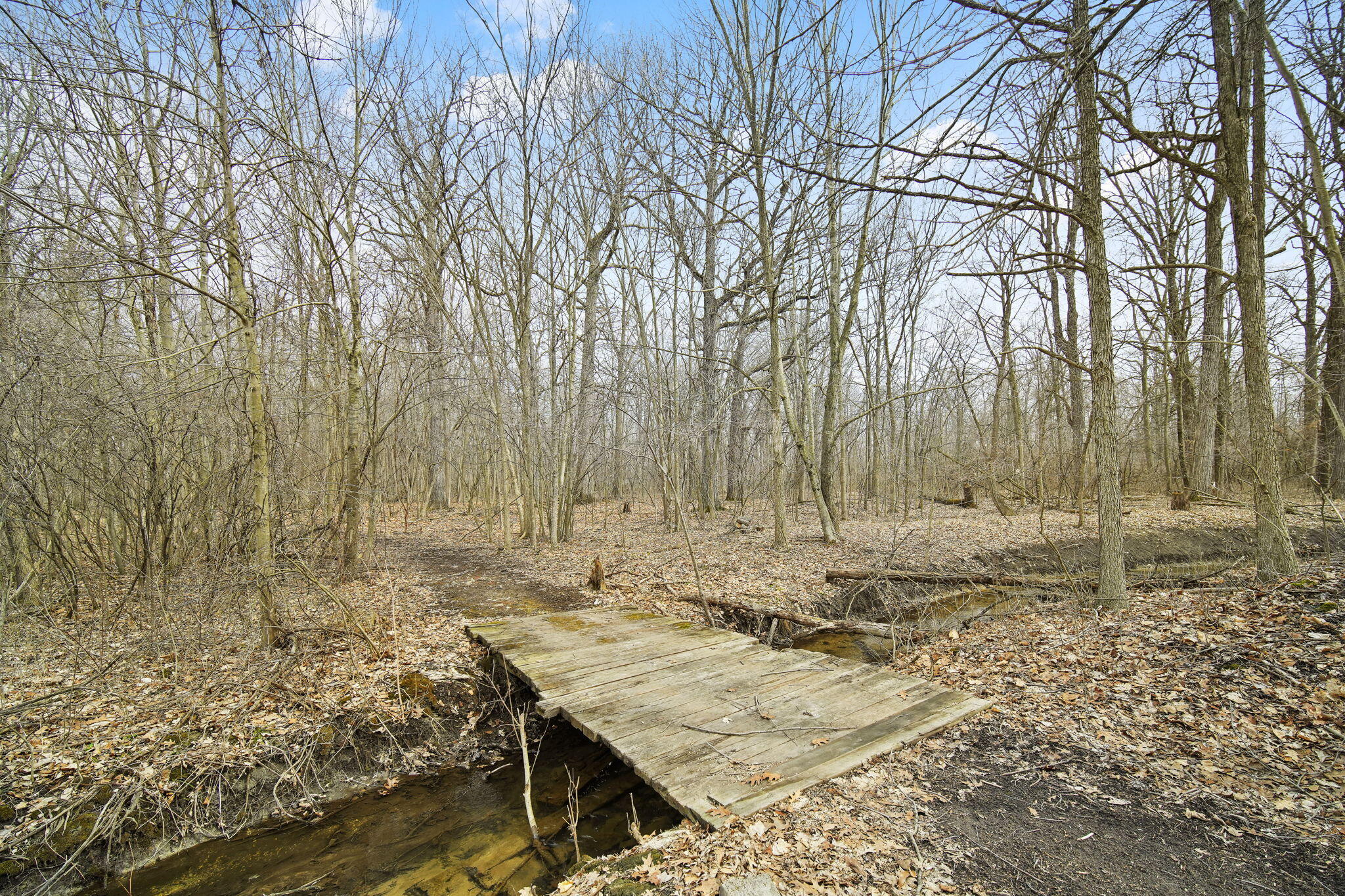 13274 Clinton Road Onondaga, MI 49264 - Photo 47 of 63 47