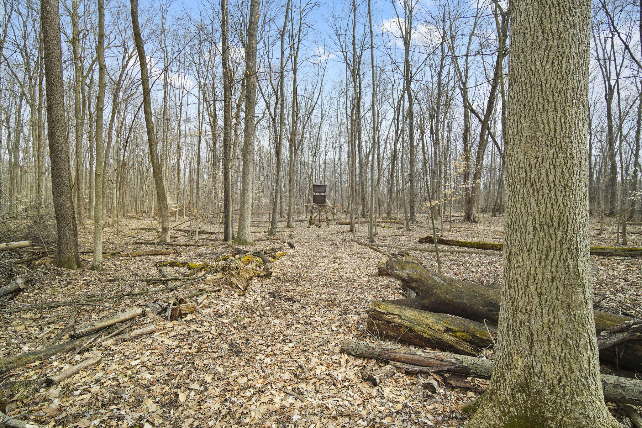 13274 Clinton Road Onondaga, MI 49264 - Photo 48 of 63 48
