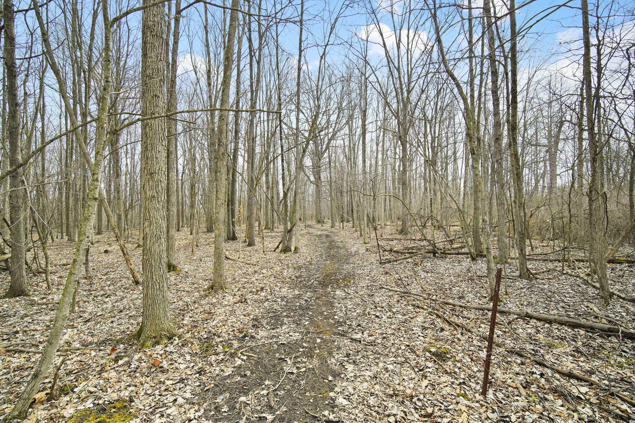 13274 Clinton Road Onondaga, MI 49264 - Photo 49 of 63 49