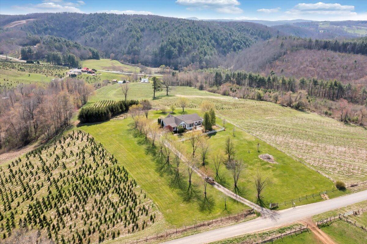 385 Sunny Ridge Road Northeast Floyd, VA 24091 - Photo 46 of 50 46-DJI_0578