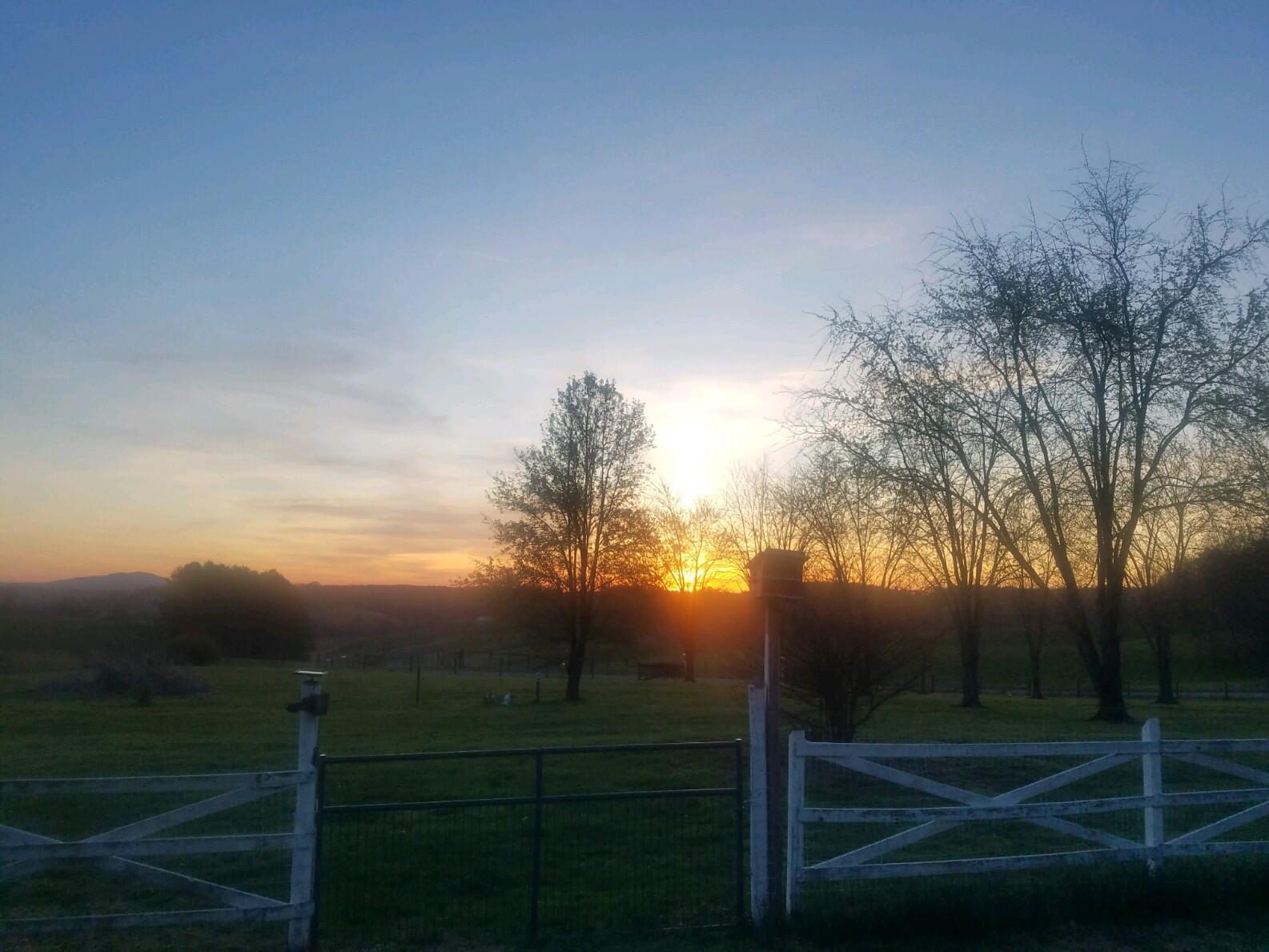 385 Sunny Ridge Road Northeast Floyd, VA 24091 - Photo 50 of 50 20230410_194947