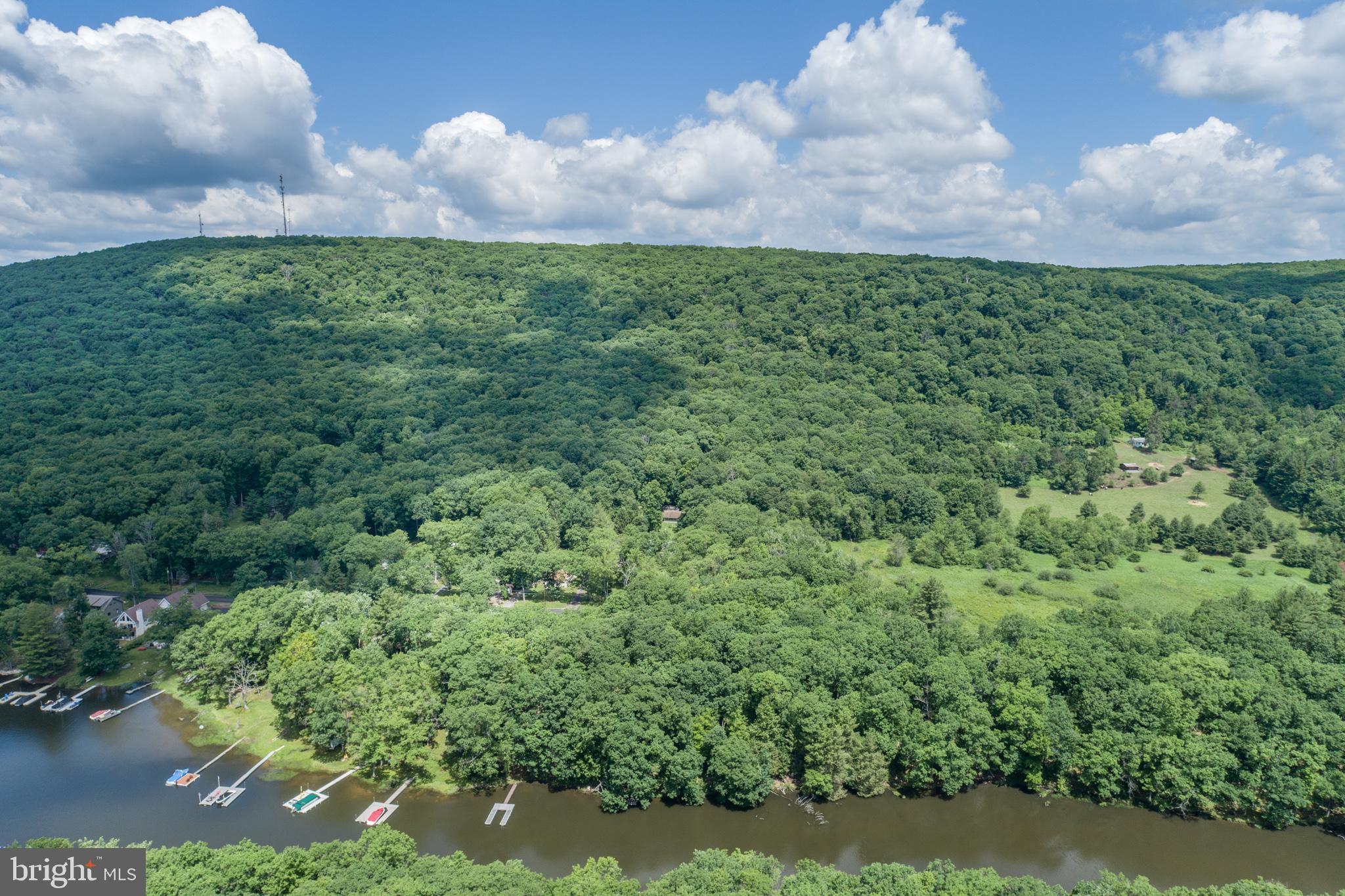 509 Brant Road Swanton, MD 21561 - Photo 15 of 21 a view of a bunch of trees