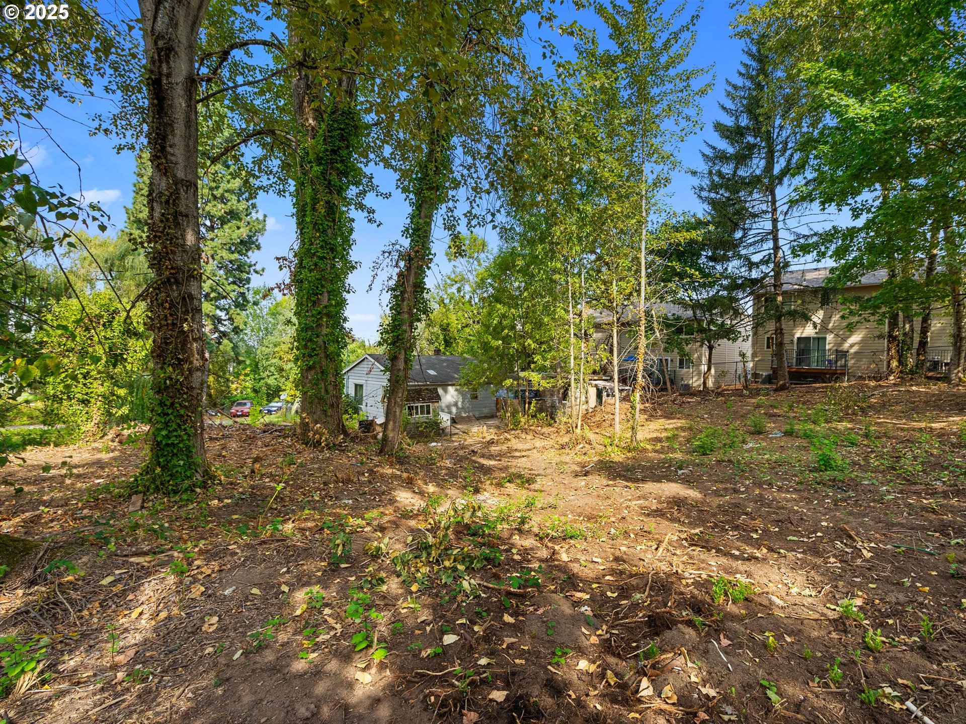 9000 Southeast Con Battin Road Happy Valley, OR 97086 - Photo 31 of 40 a view of a yard with a tree