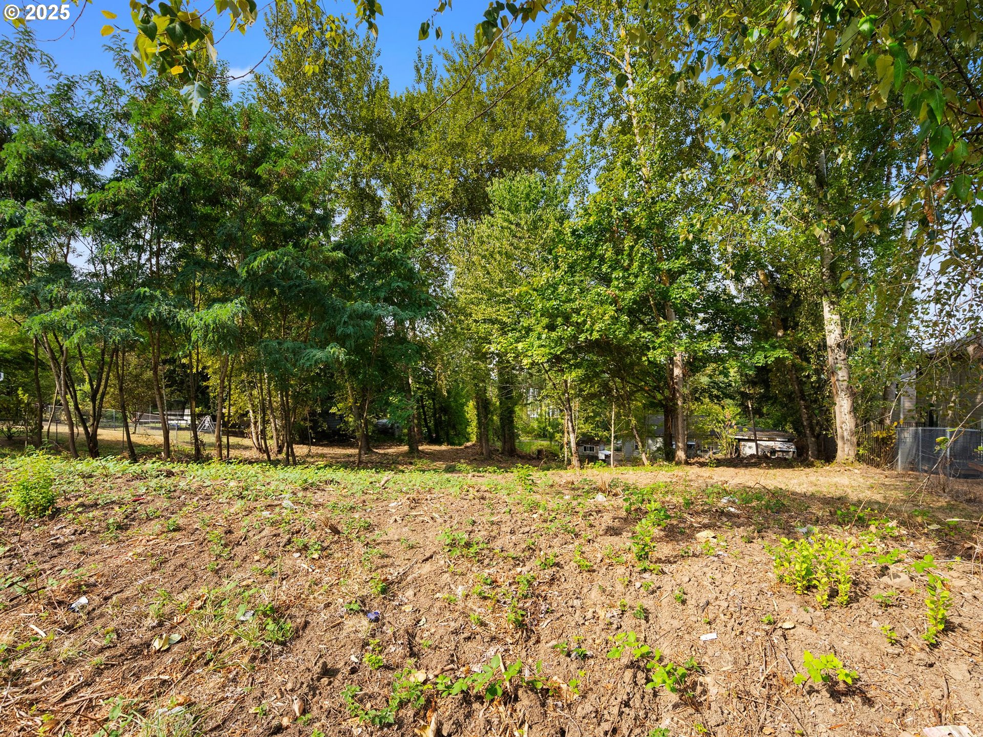 9000 Southeast Con Battin Road Happy Valley, OR 97086 - Photo 33 of 40 a backyard of a house with a tree