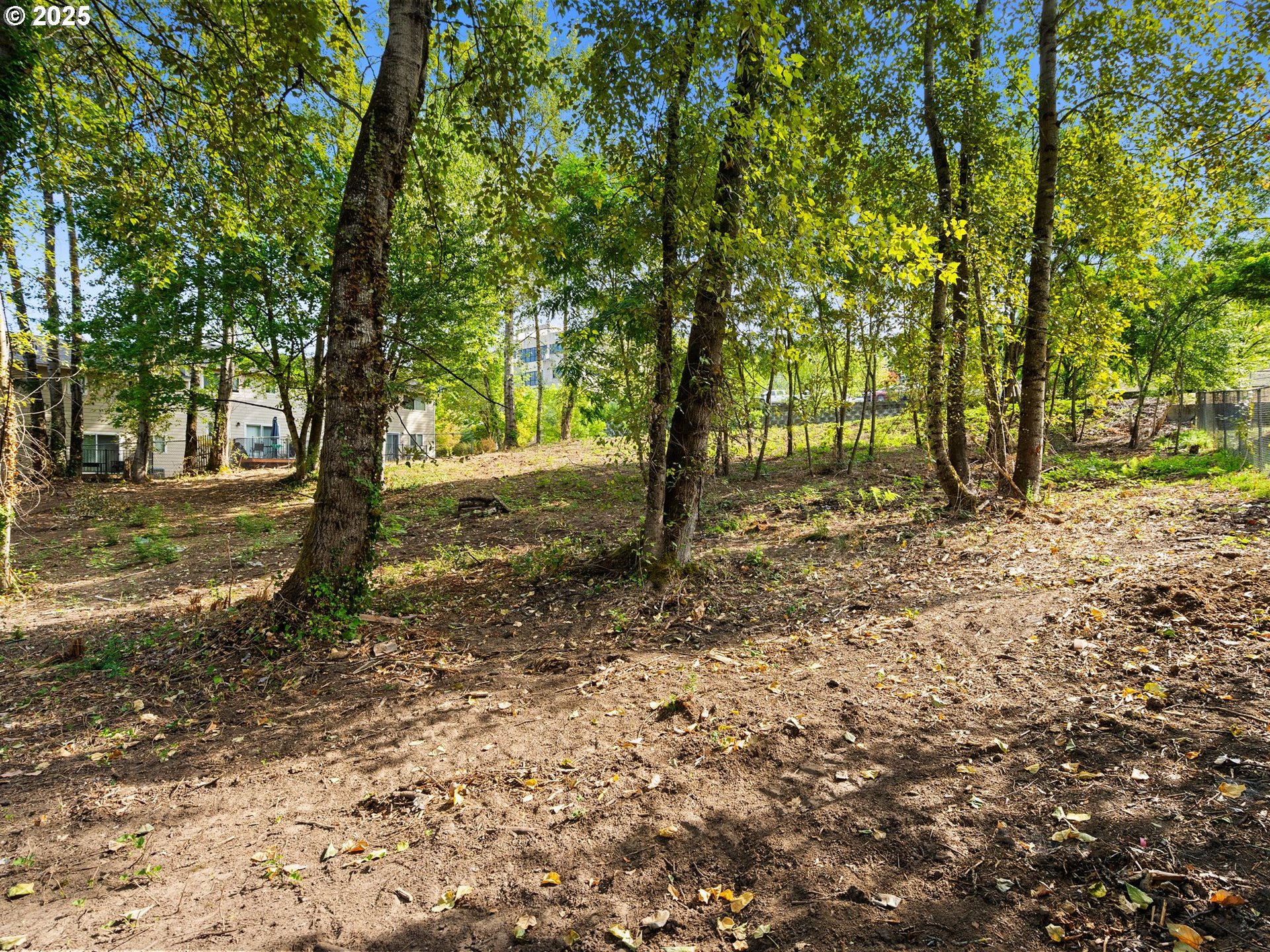 9000 Southeast Con Battin Road Happy Valley, OR 97086 - Photo 34 of 40 a view of a tree in the middle of a yard
