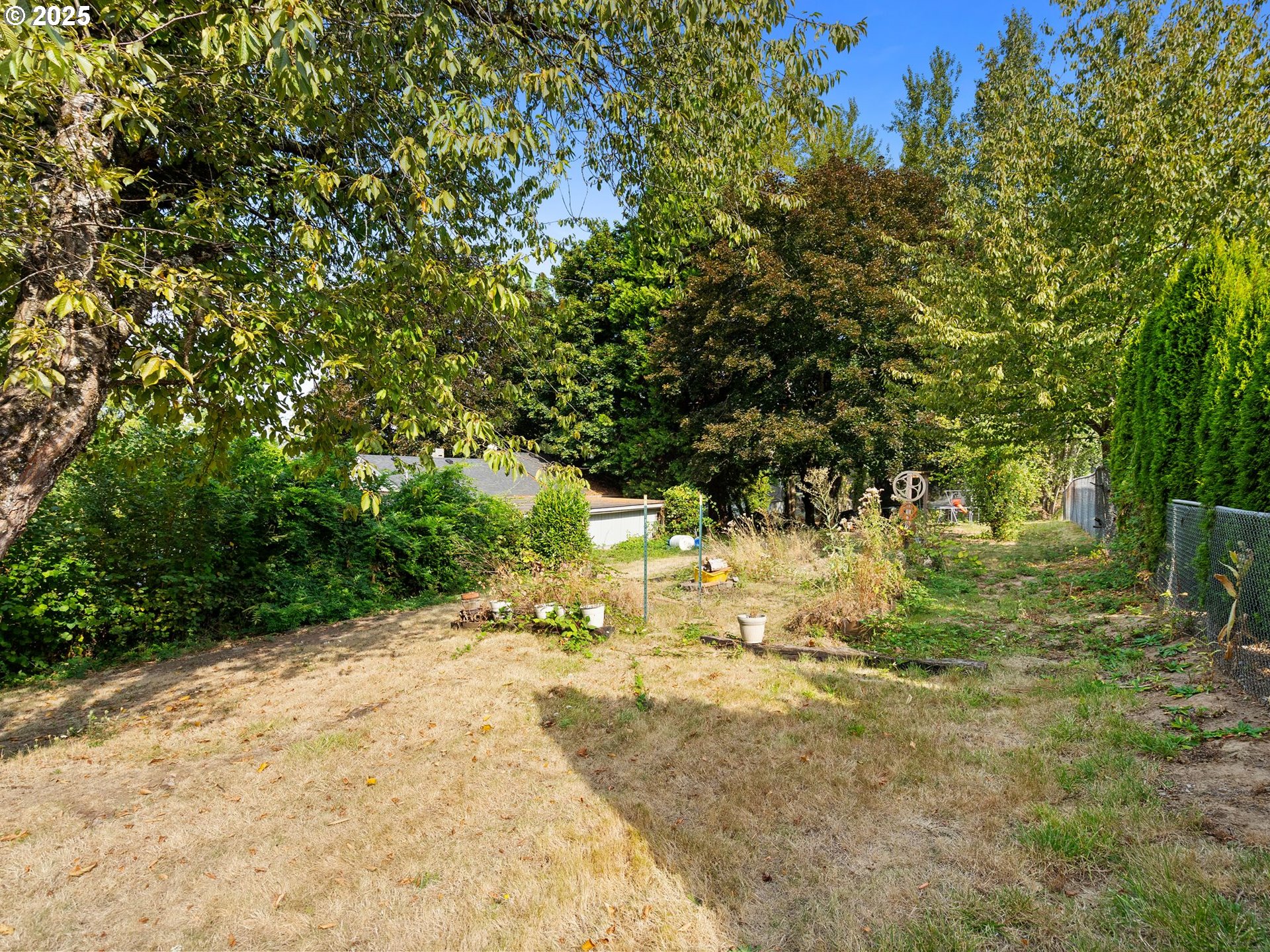 9000 Southeast Con Battin Road Happy Valley, OR 97086 - Photo 36 of 40 a view of yard with trees