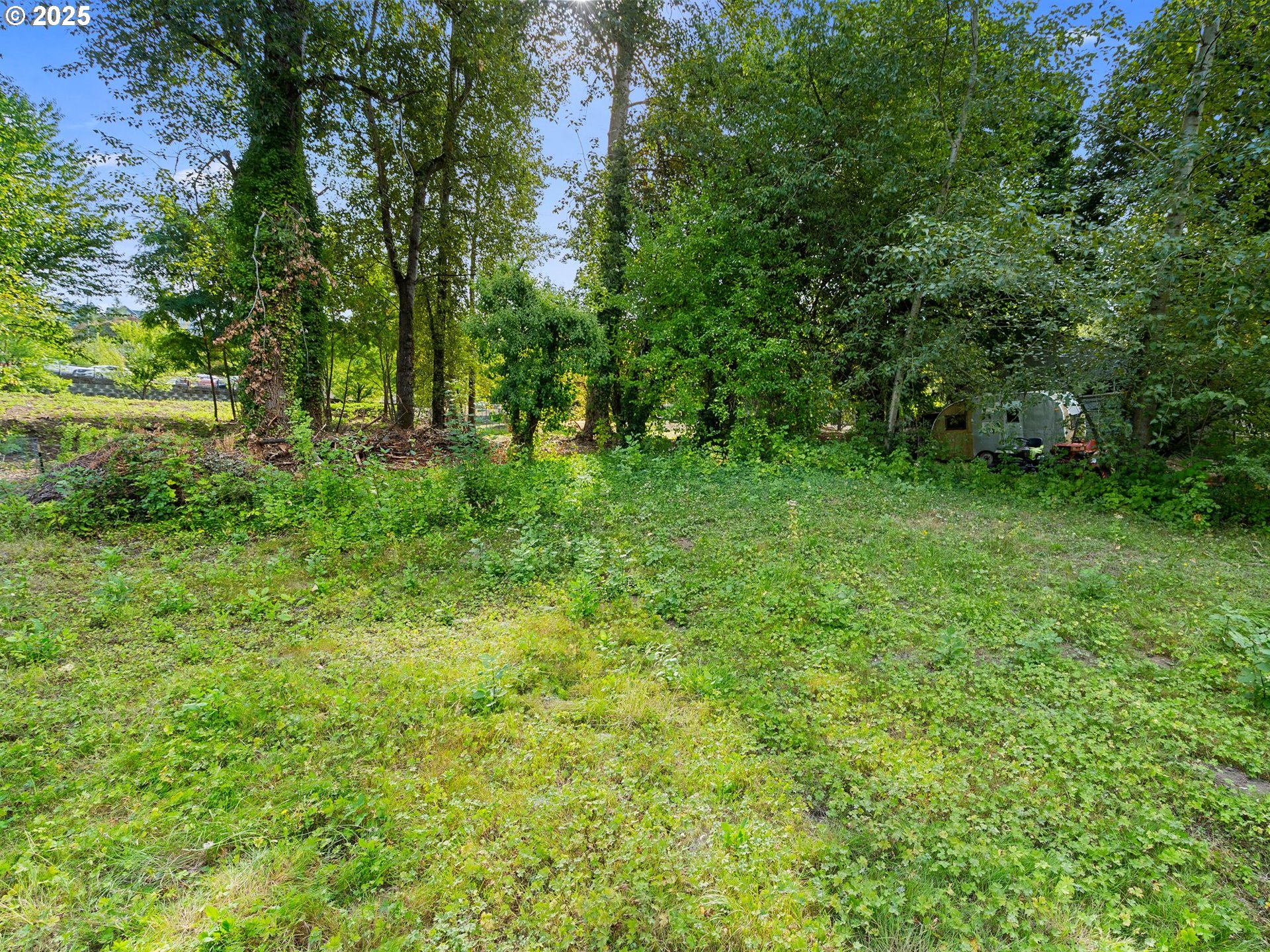 9000 Southeast Con Battin Road Happy Valley, OR 97086 - Photo 40 of 40 a view of a lush green forest