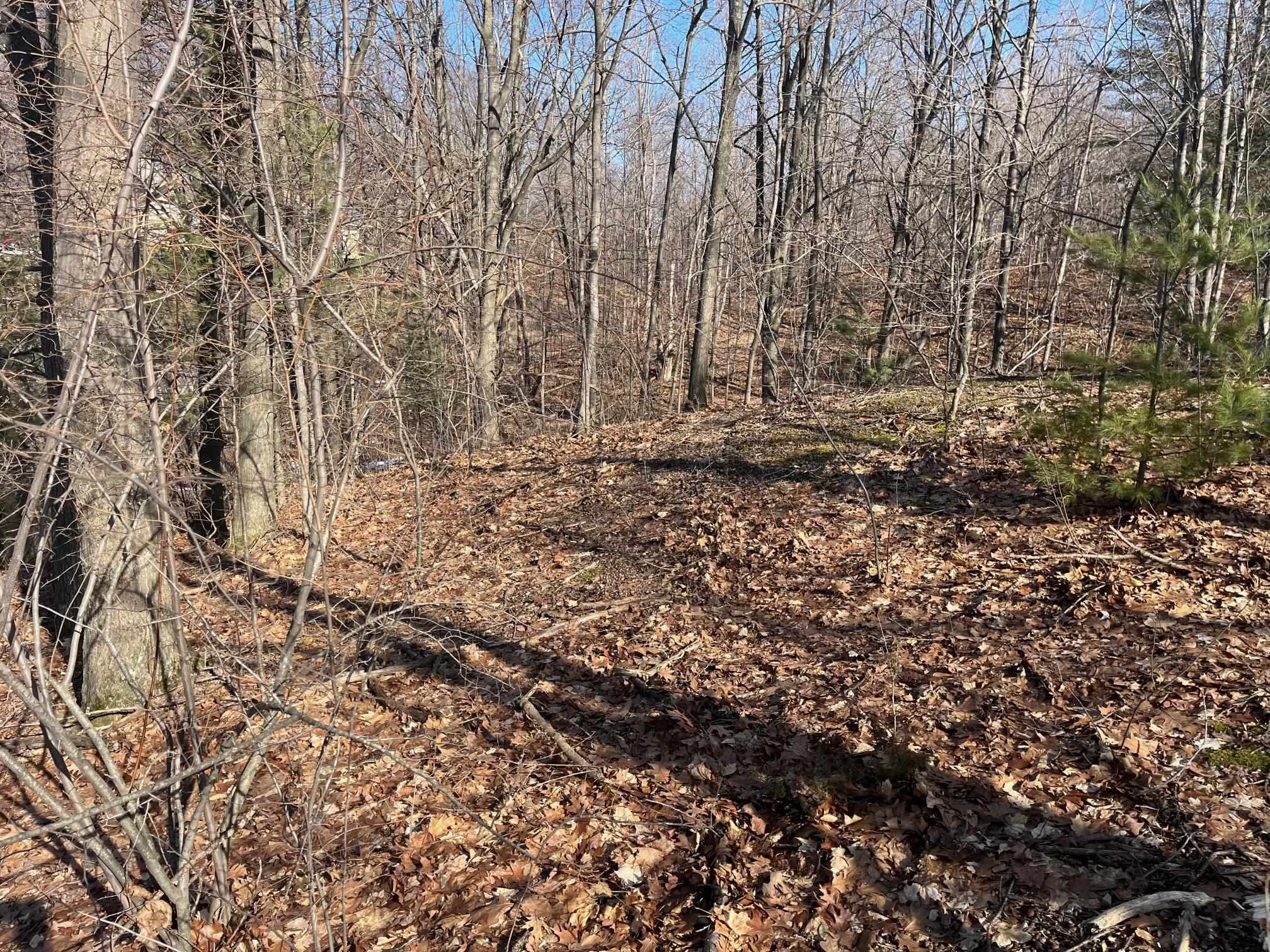 0 South Sugar Loaf Mountain Road Cedar, MI 49621 - Photo 1 of 13 1919258-fb4531c3-58a8-426f-ac02-5741f5d37b83.JPG