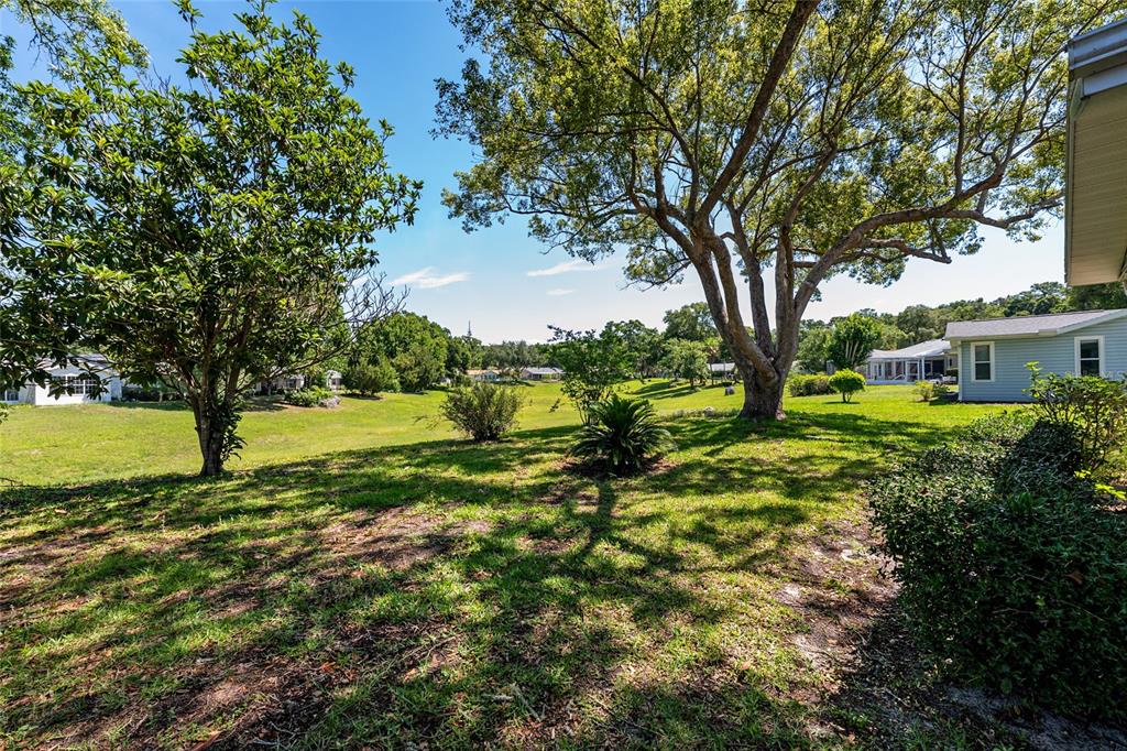 8038 Southwest 108th Loop Ocala, FL 34481 - Photo 38 of 48 a view of backyard with tree