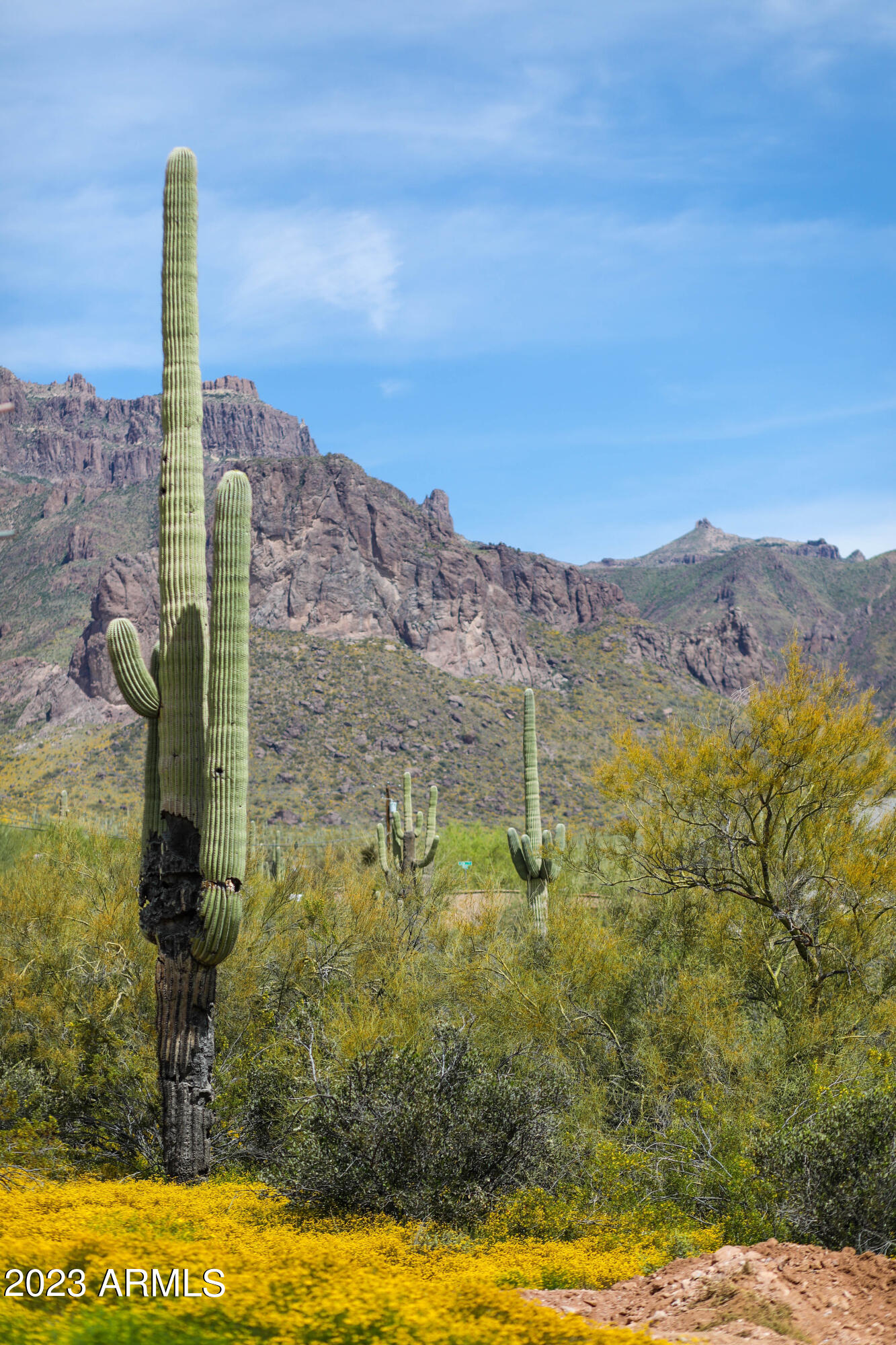 762 North Sun Road Apache Junction, AZ 85119 - Photo 45 of 45 BDARV-129