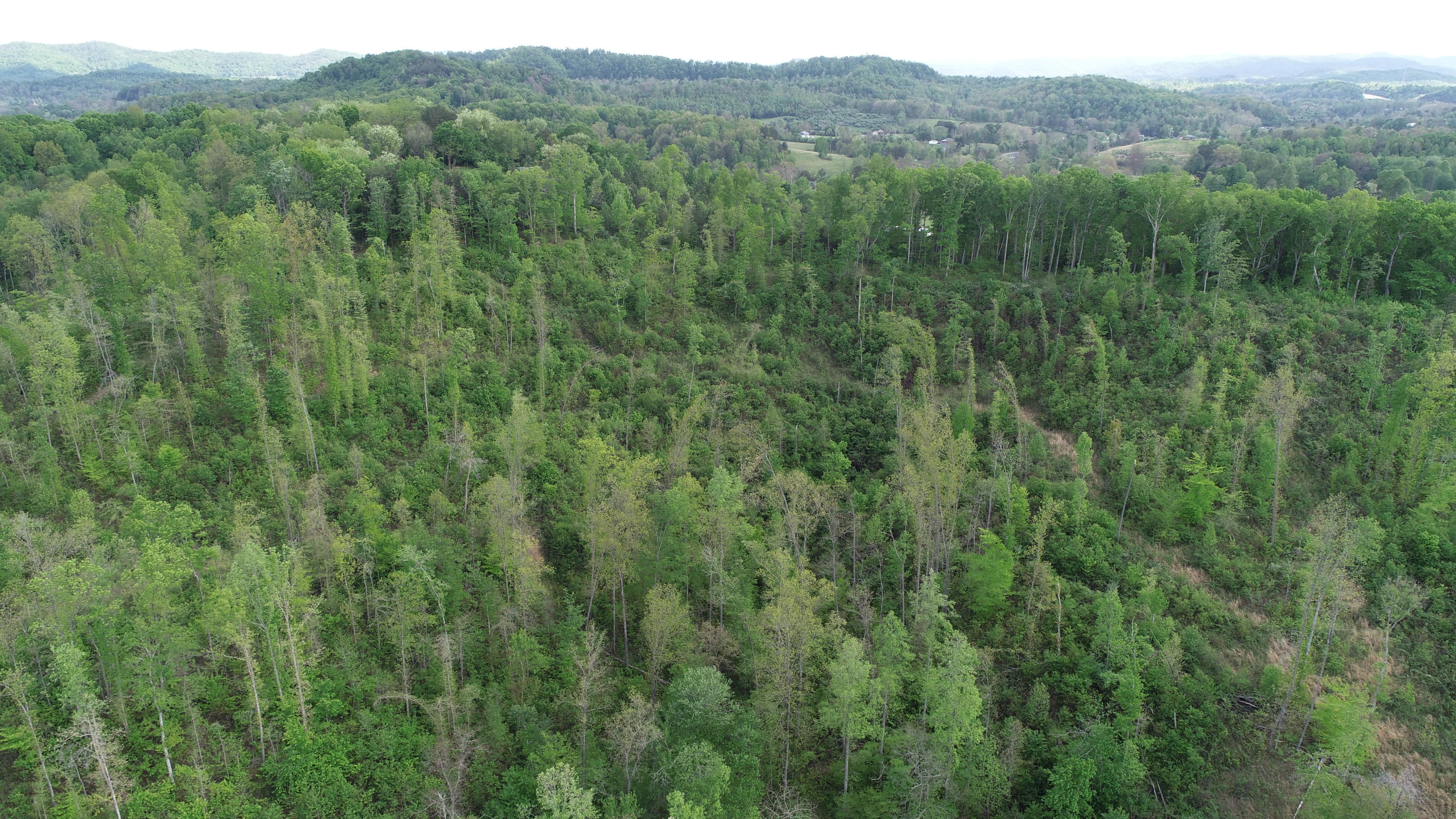 395 Ainer Jackson Road Corbin, KY 40701 - Photo 11 of 18 DJI_0257