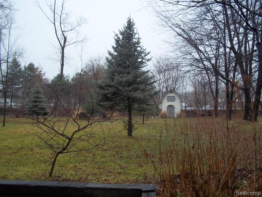 22598 Carter Road Trenton, MI 48183 - Photo 8 of 29 100_0587.jpg