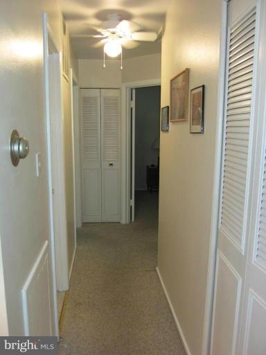 604 Lowander Lane Silver Spring, MD 20901 - Photo 18 of 30 Hallway to bedrooms with ceiling fan and carpet
