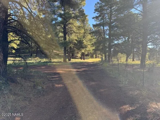 a view of dirt yard with a large tree