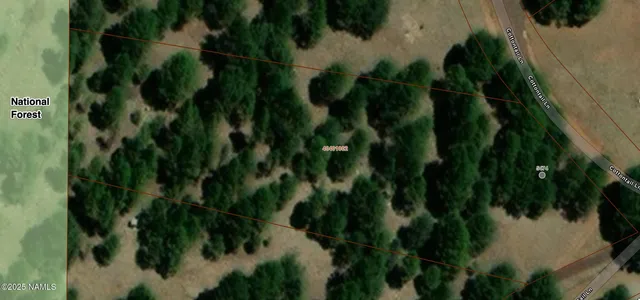 a close up of a plant