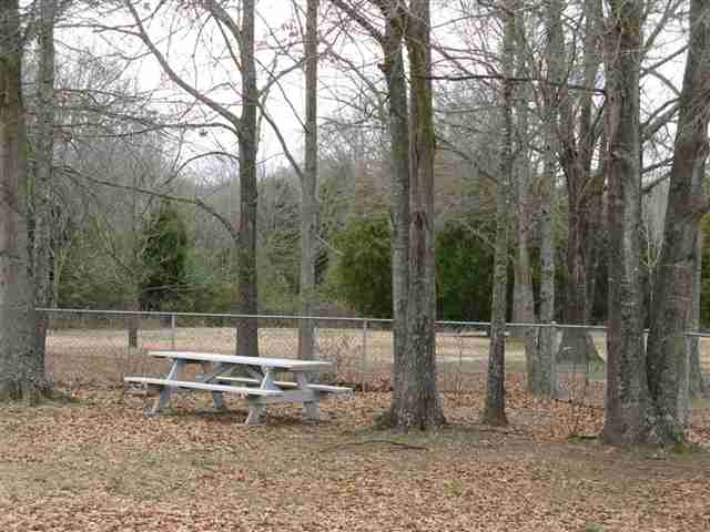 168 Pine Ridge Drive Iva, SC 29655 - Photo 21 of 21 Gallery Image 21