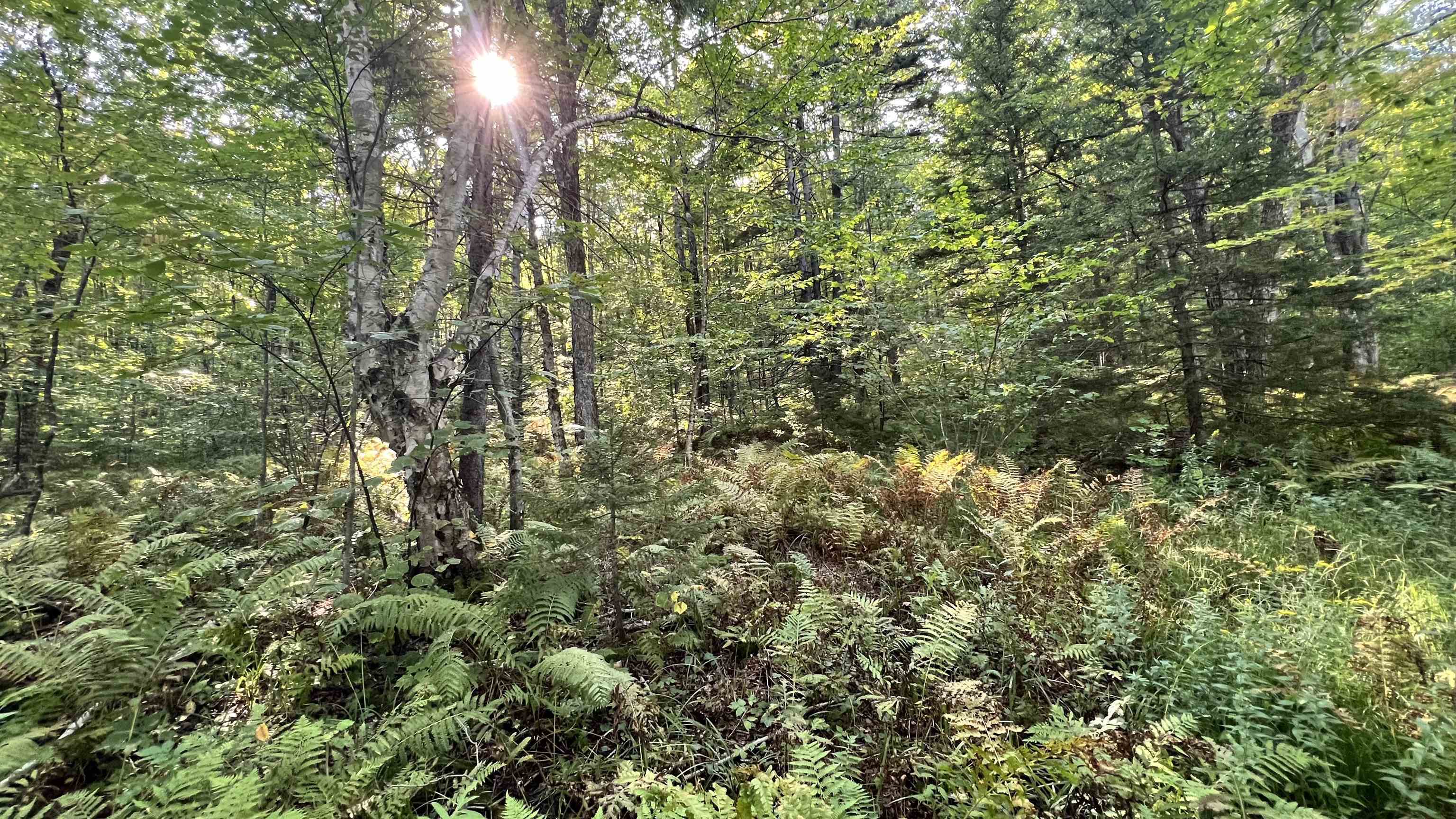 2075 Codding Hollow Road Johnson, VT 05656 - Photo 55 of 59