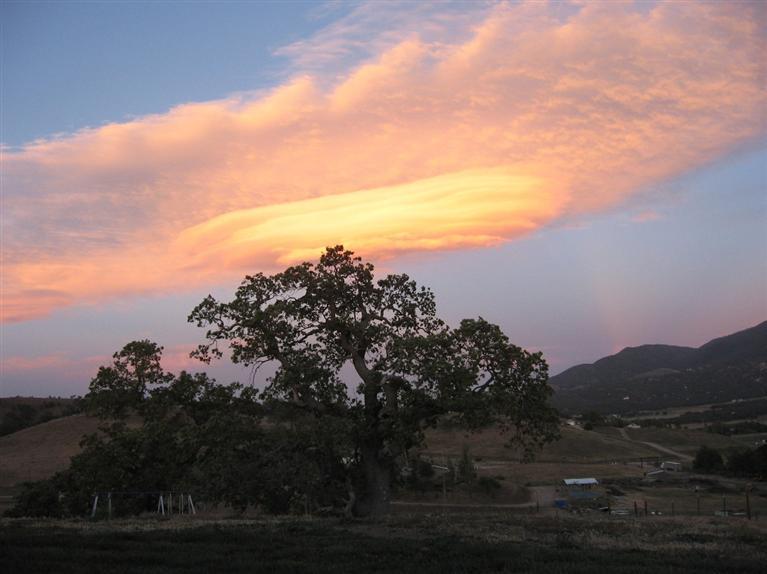 20597 Jury Ranch Drive Tehachapi, CA 93561 - Photo 44 of 50 Gallery Image 44