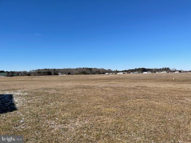 29629 Eagle Crest Road Milton, DE 19968 - Photo 18 of 18 Rear view from Home