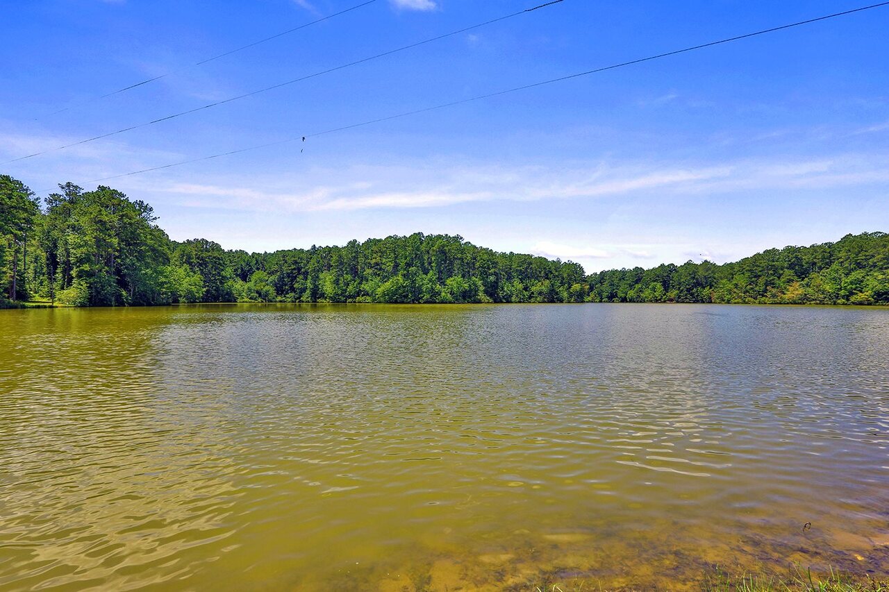 0 Pierce Chapel Road, Unit LOT 10 Newnan, GA 30263 - Photo 1 of 1 Gallery Image 1